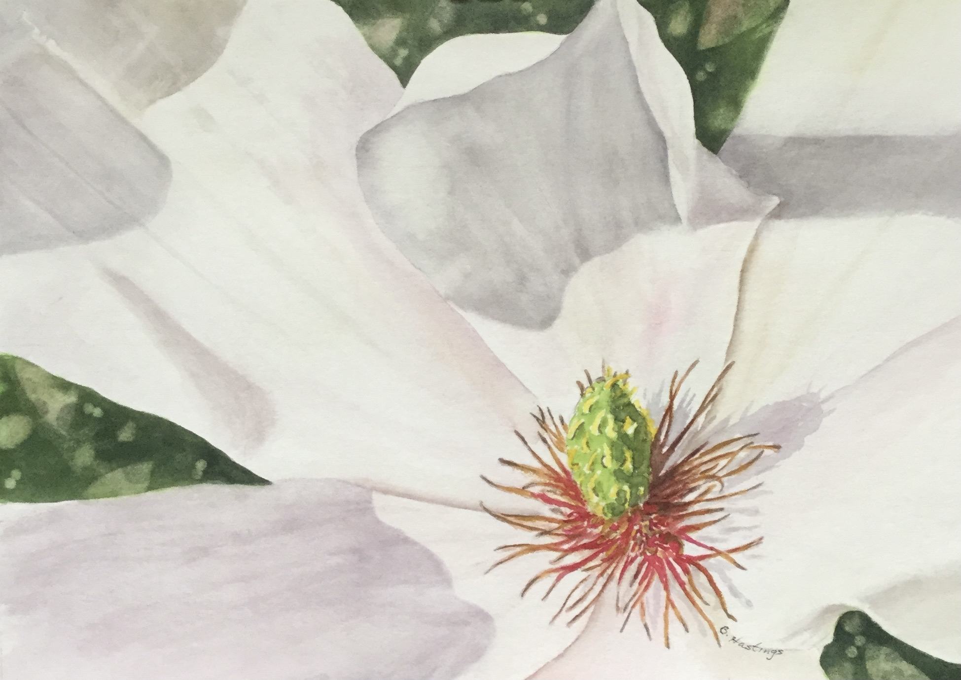 FLEETING BEAUTY by Bonnie Hastings