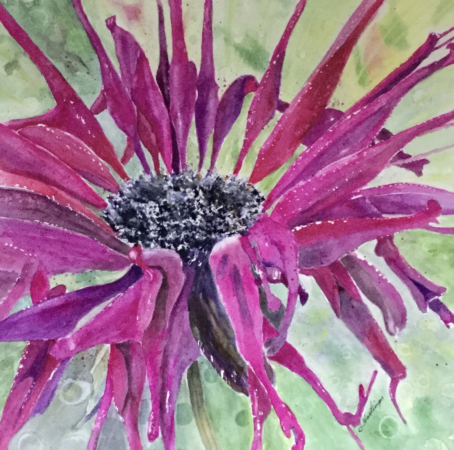 FLORAL FIREWORKS by Bonnie Hastings
