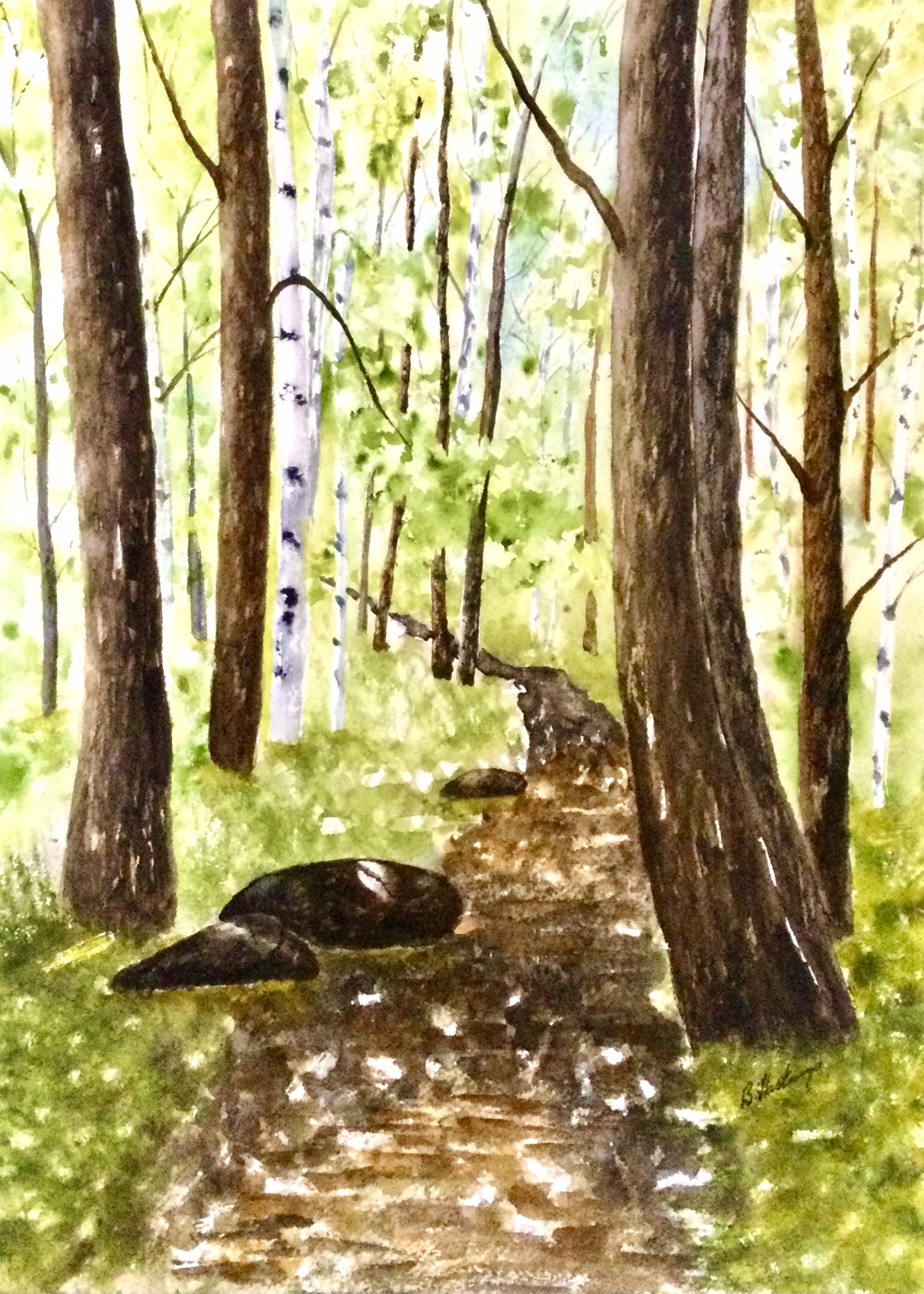 FOREST BATHING by Bonnie Hastings