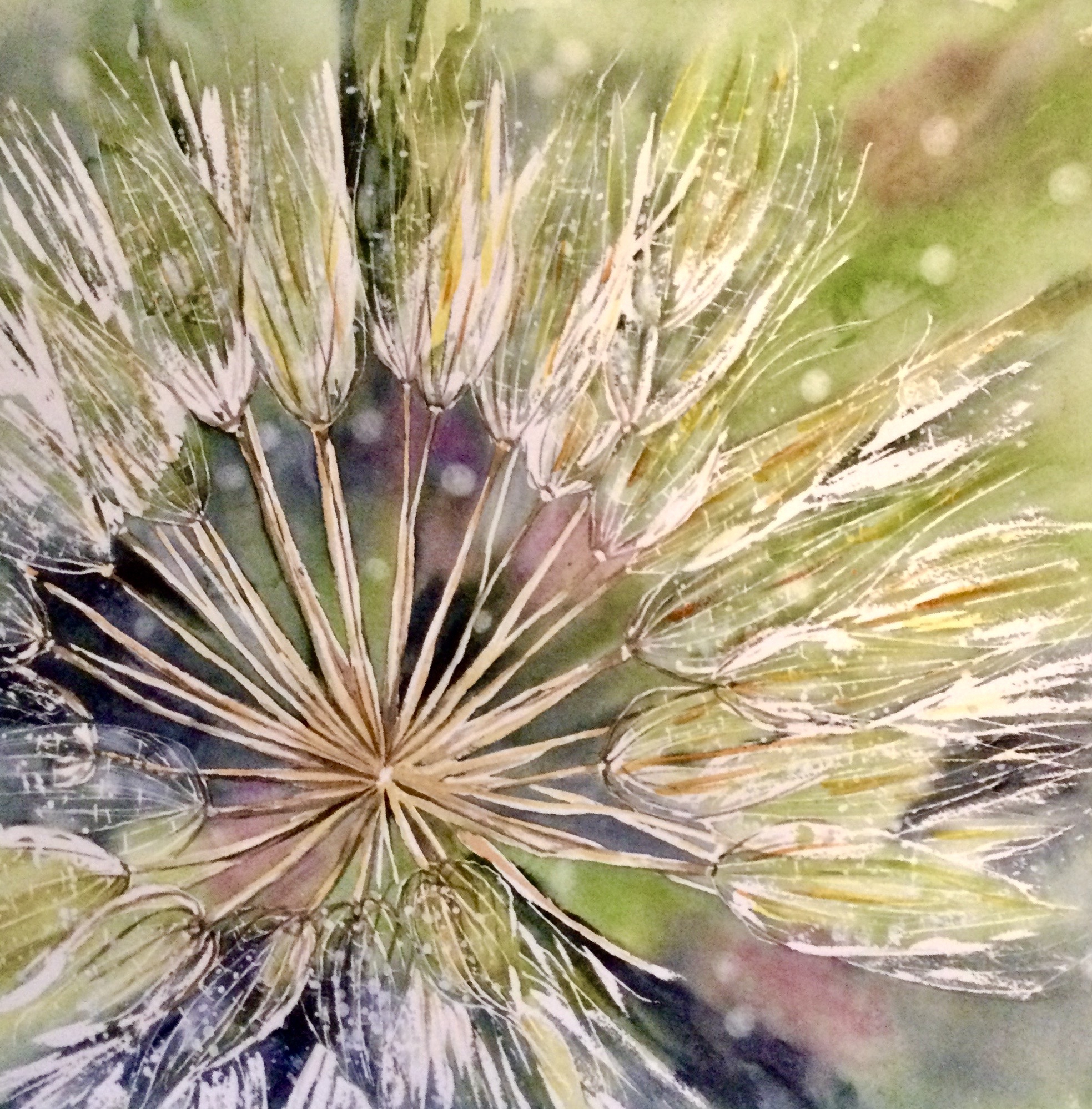 FLUFF by Bonnie Hastings