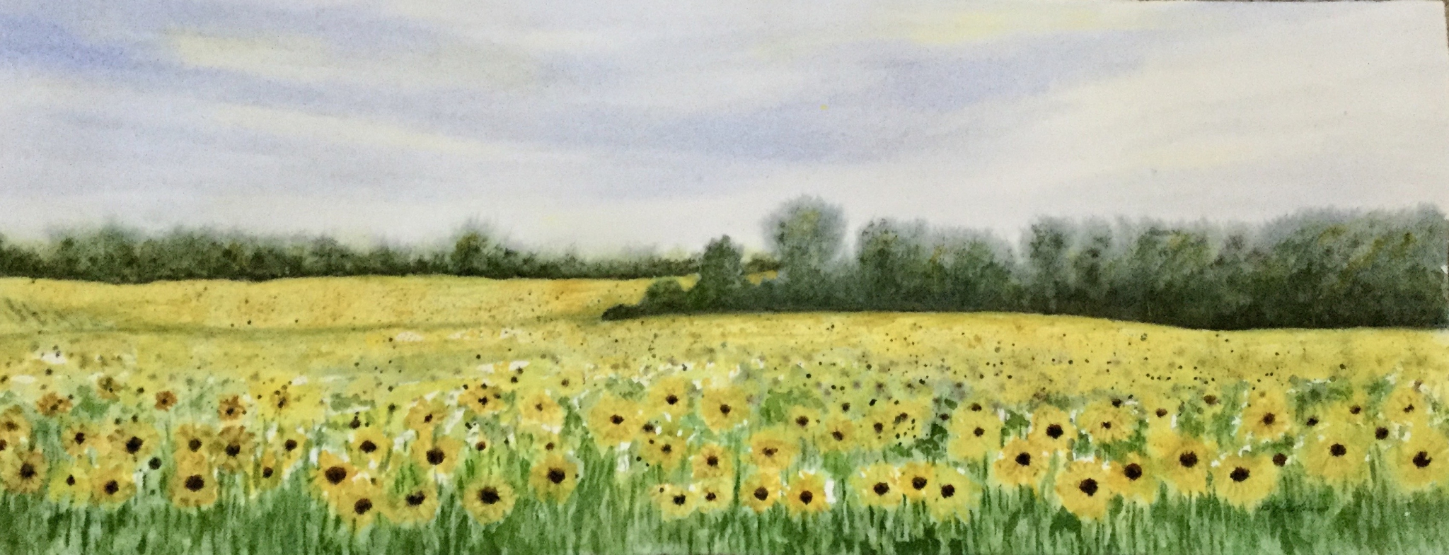 GOLDEN FIELDS by Bonnie Hastings