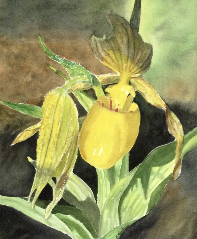 GARDEN DELIGHT by Bonnie Hastings