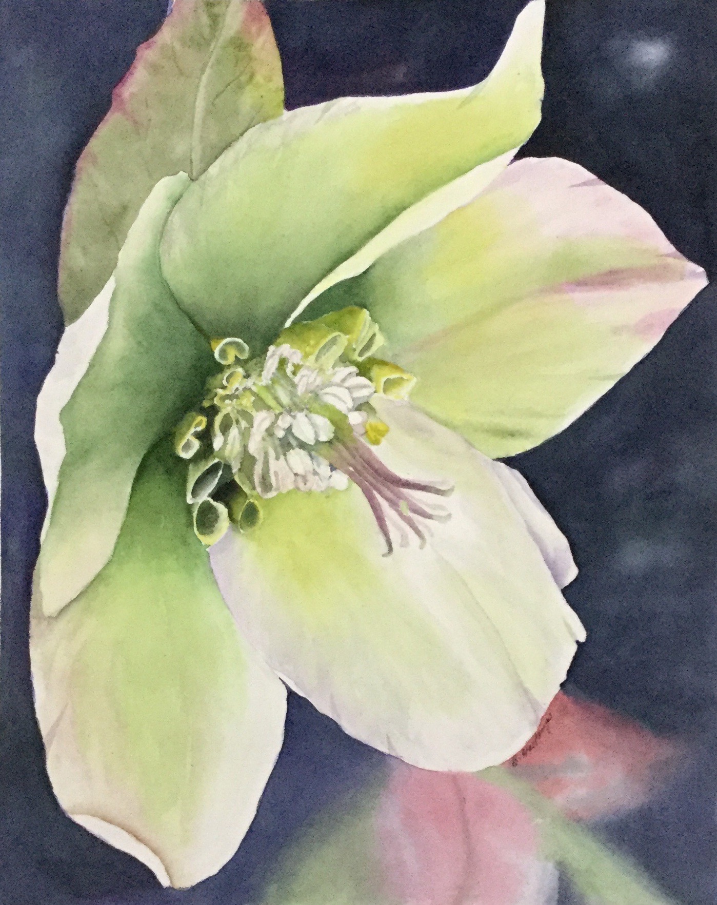 GREEN GLOW by Bonnie Hastings