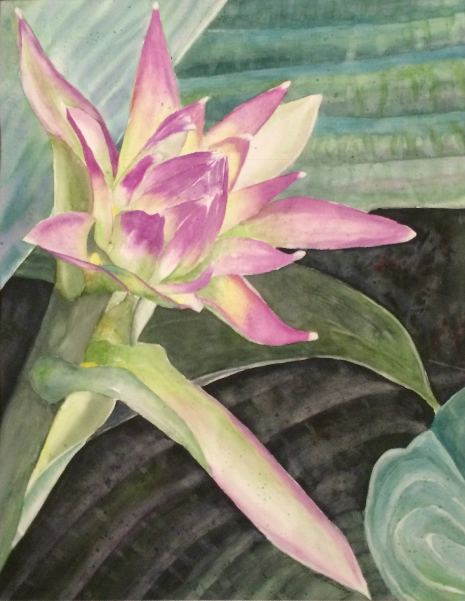 HASTA BE HOSTA by Bonnie Hastings