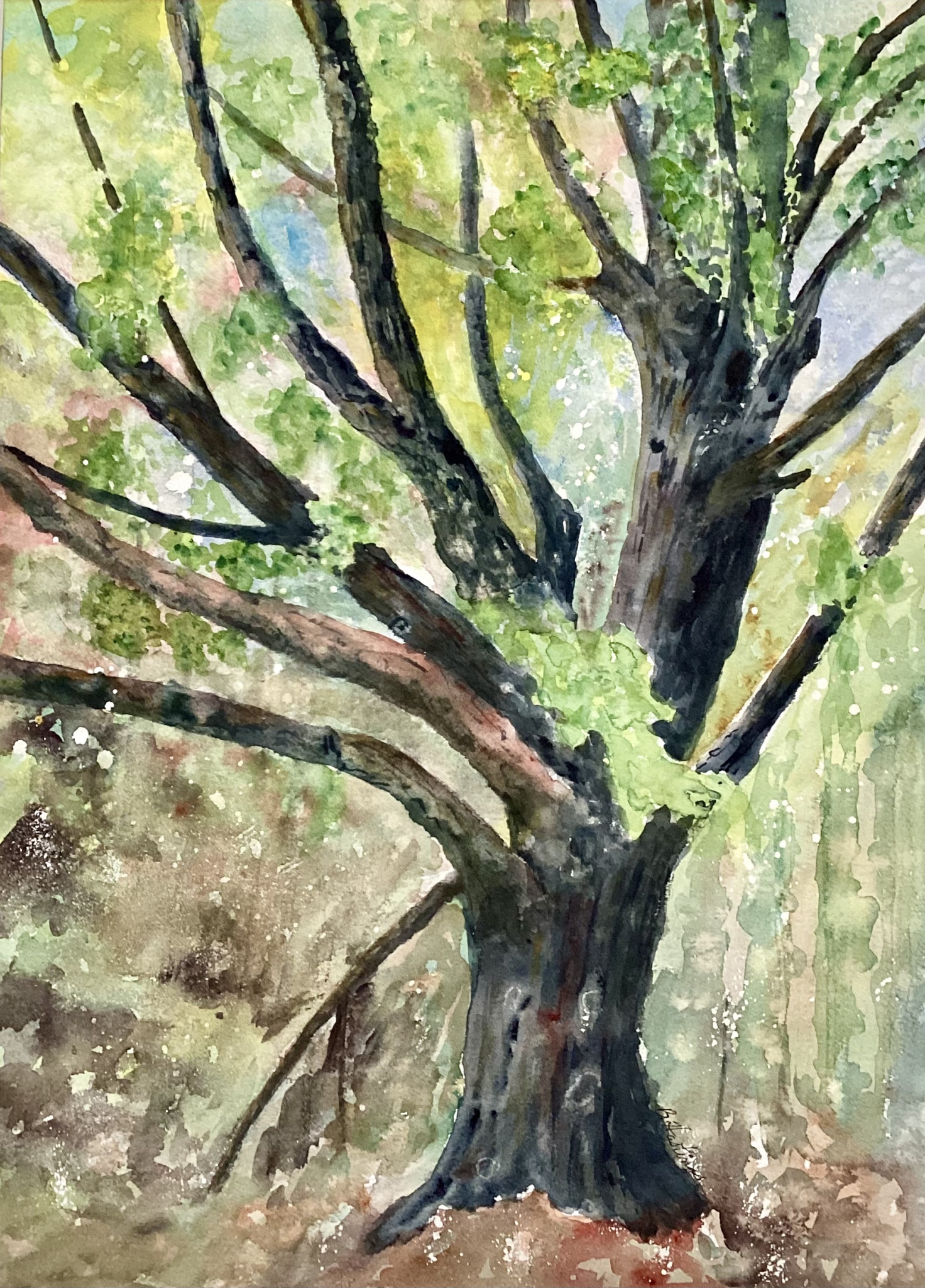 OLD MAN OF THE WOODS by Bonnie Hastings