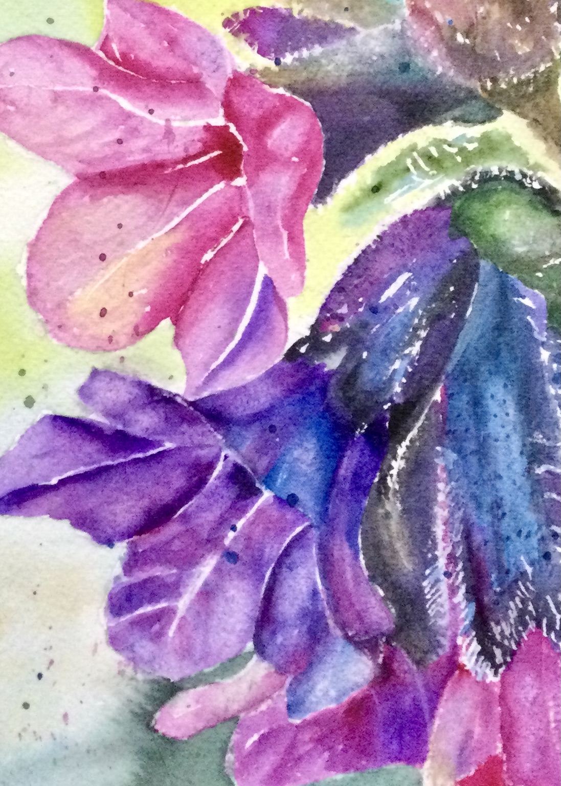 Click here to view PULMONARIA by Bonnie Hastings