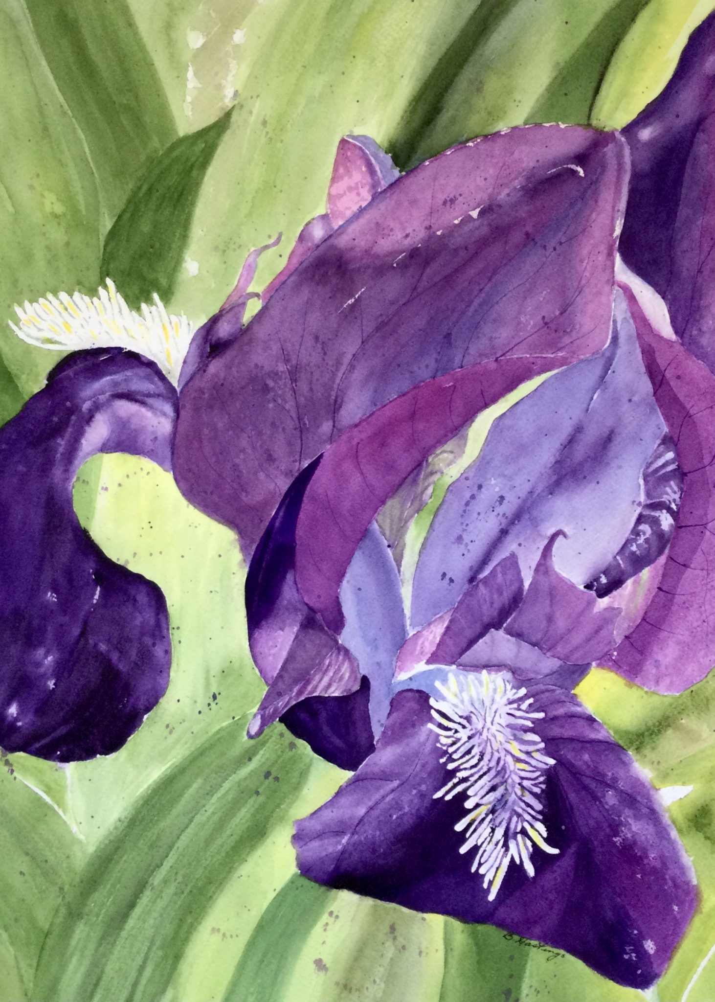 PURPLE WISDOM by Bonnie Hastings