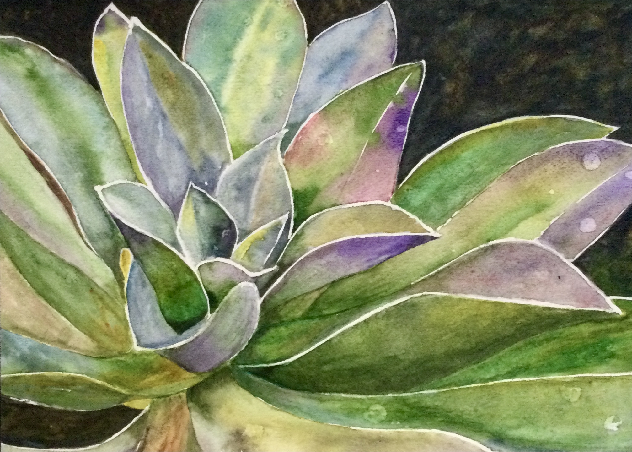 SUCCULENT by Bonnie Hastings