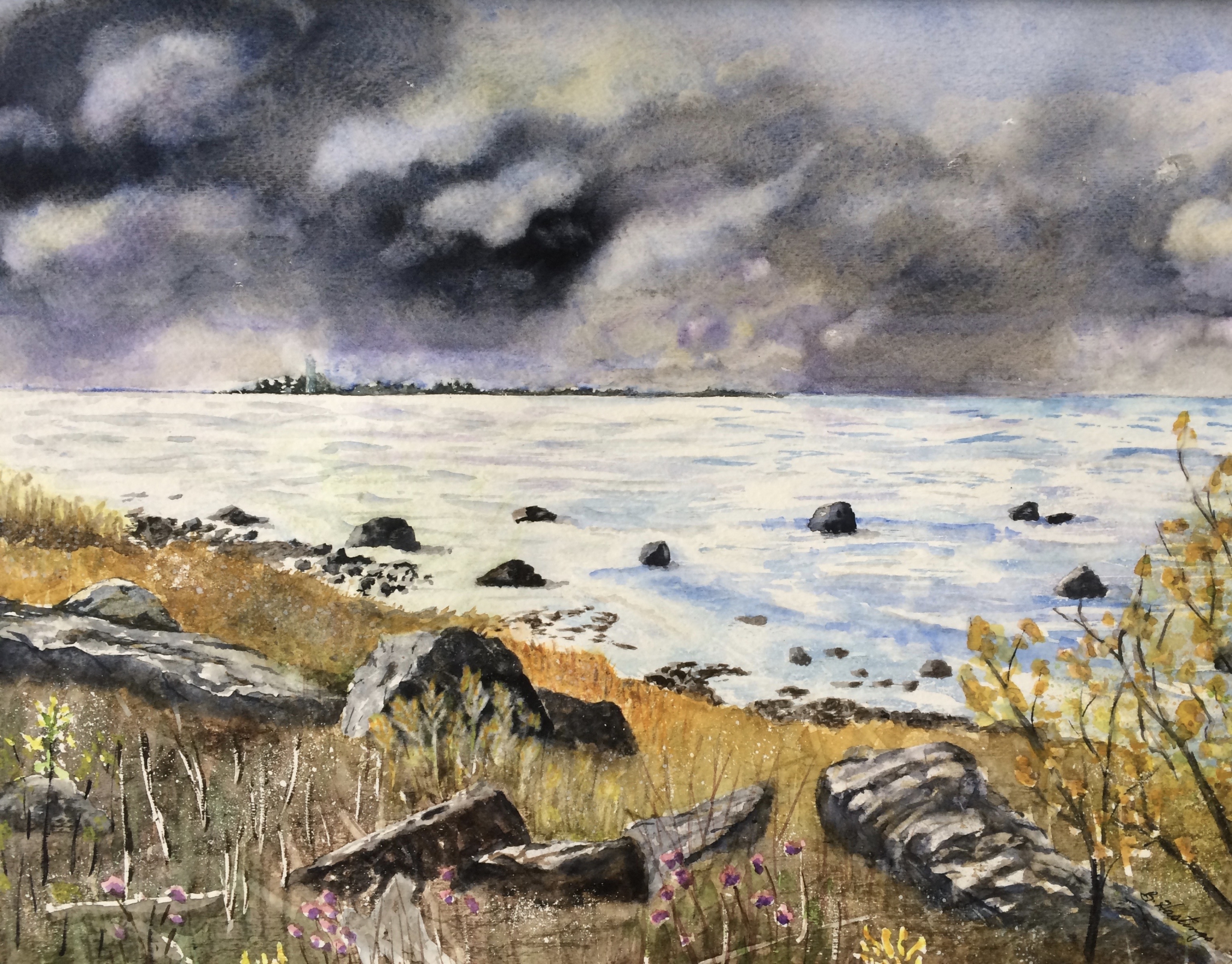 STORM'S A-COMIN' by Bonnie Hastings