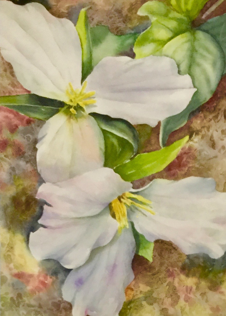 TRILLIUM TAPESTRY by Bonnie Hastings