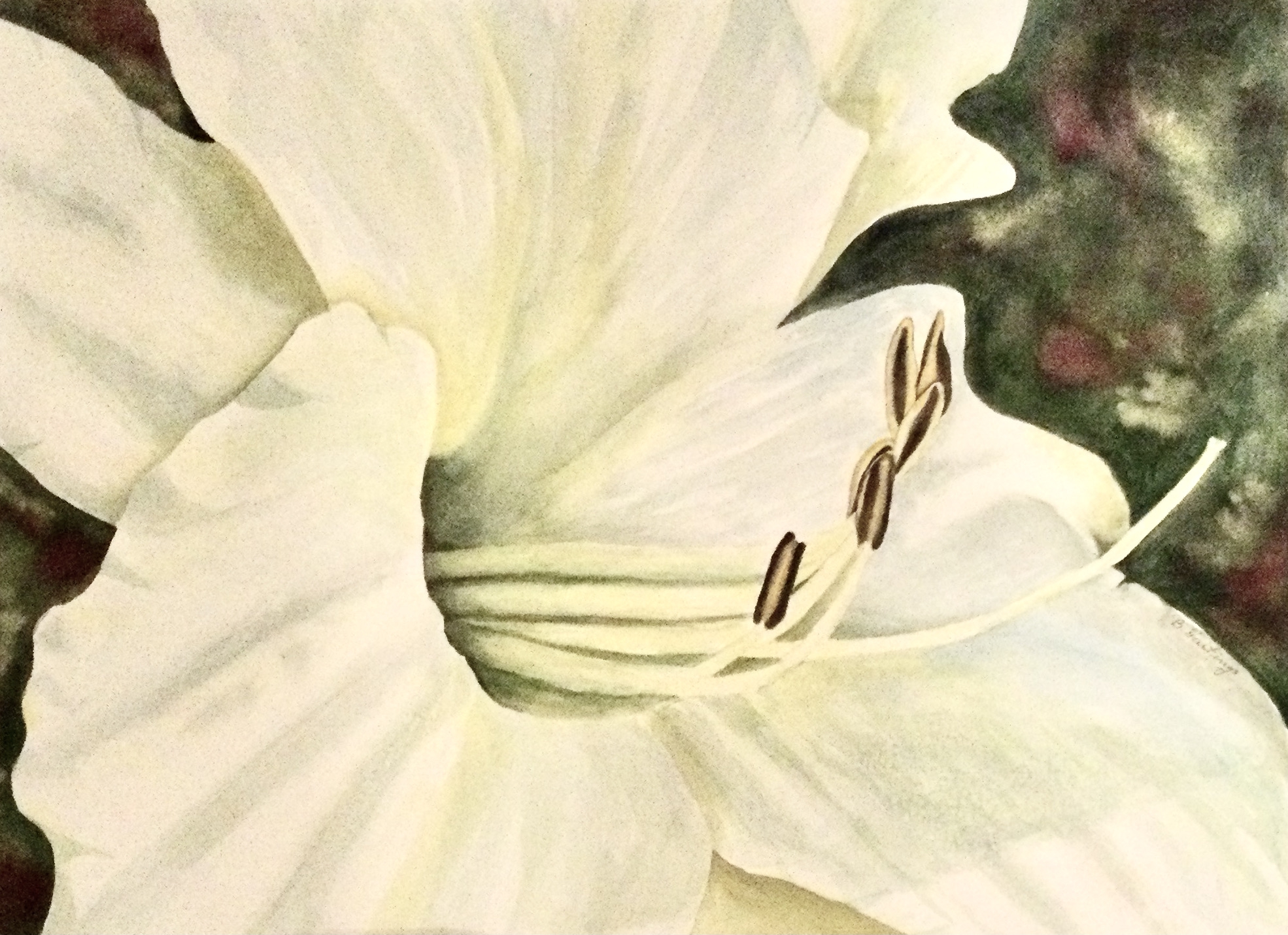 WHITE BEAUTY by Bonnie Hastings
