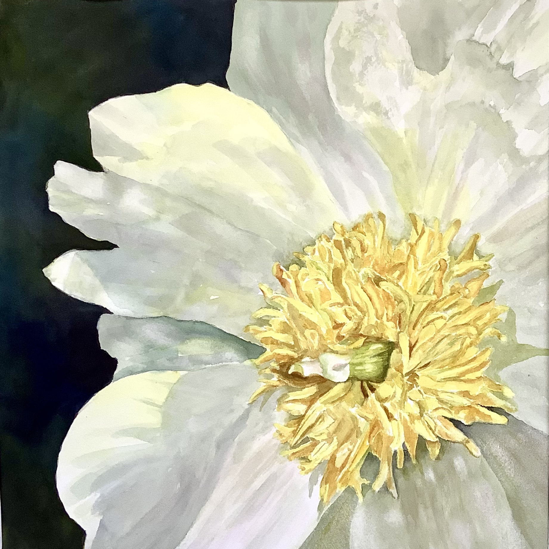 BRIDE'S DELIGHT by Bonnie Hastings