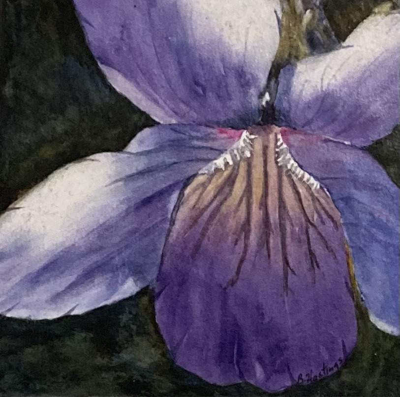 VIOLET by Bonnie Hastings