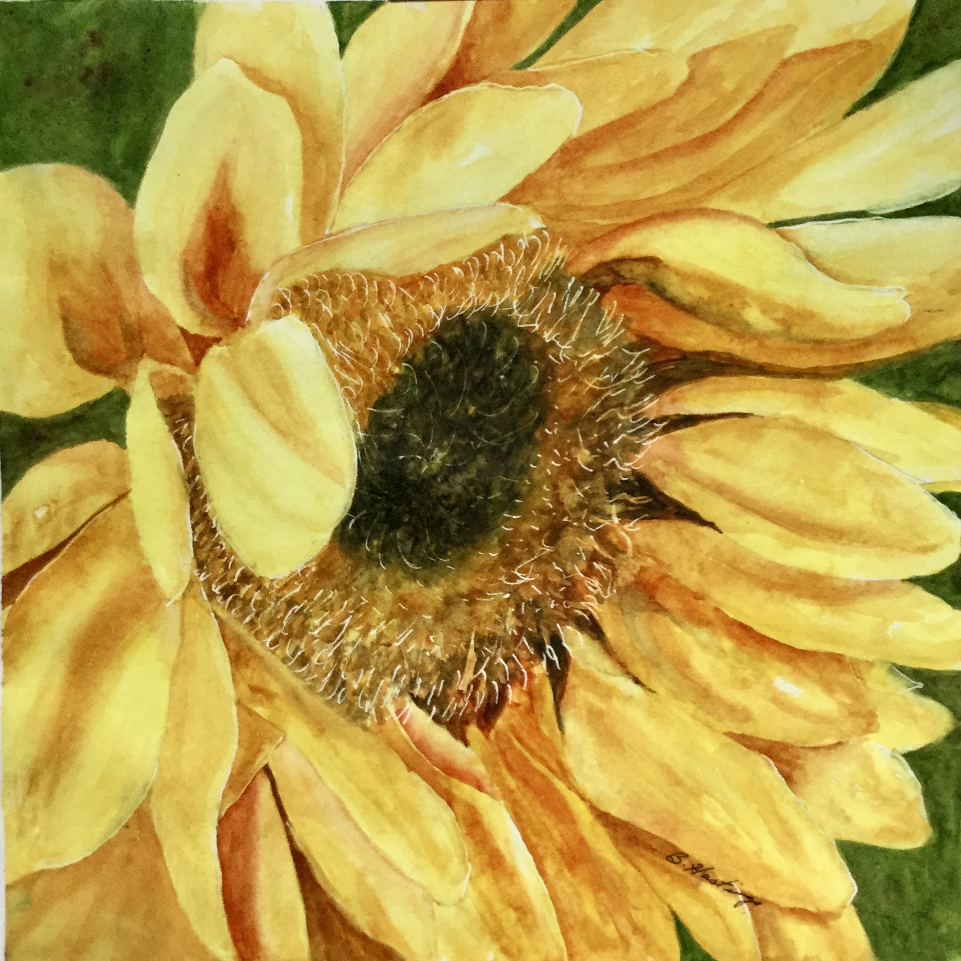 BLOOMING BEAUTY by Bonnie Hastings