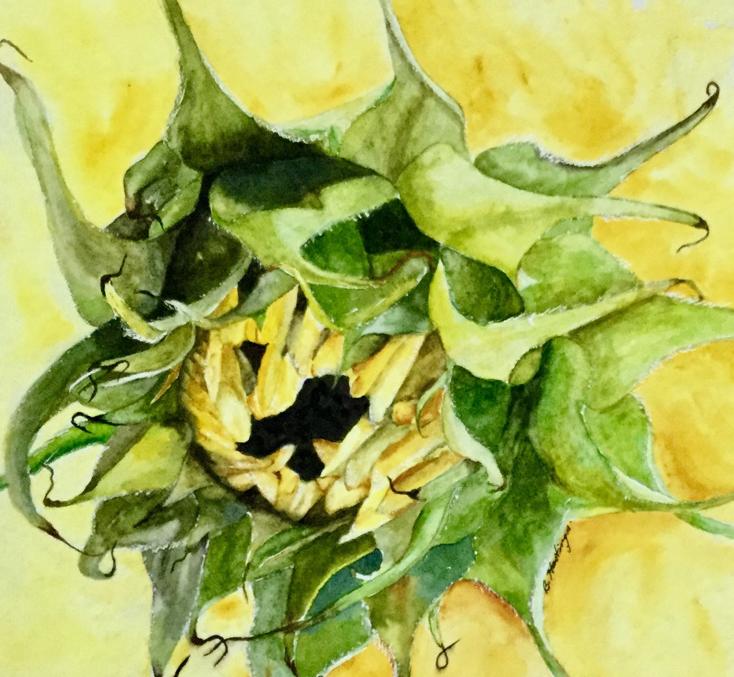 EMERGING by Bonnie Hastings