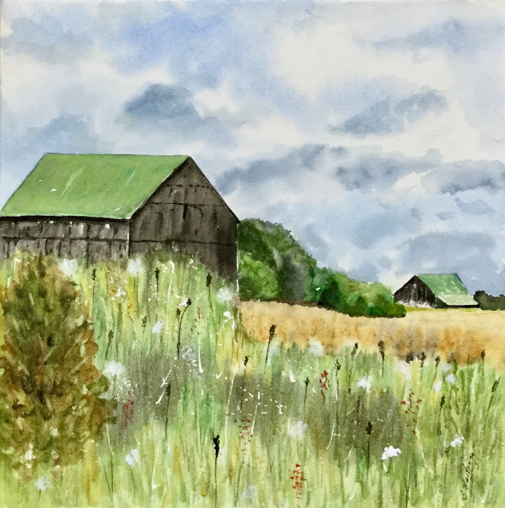 GREEN ROOFS by Bonnie Hastings