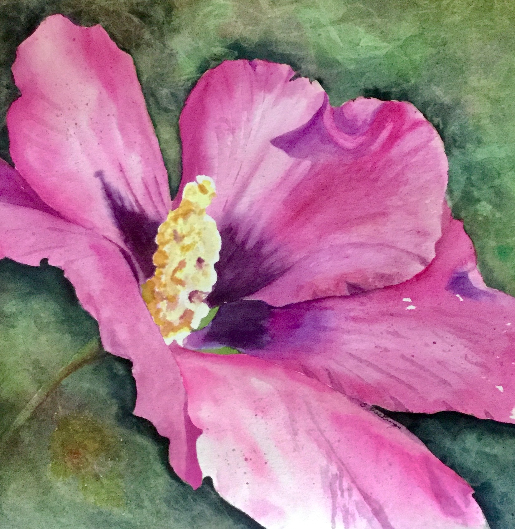 ROSE OF SHARON by Bonnie Hastings