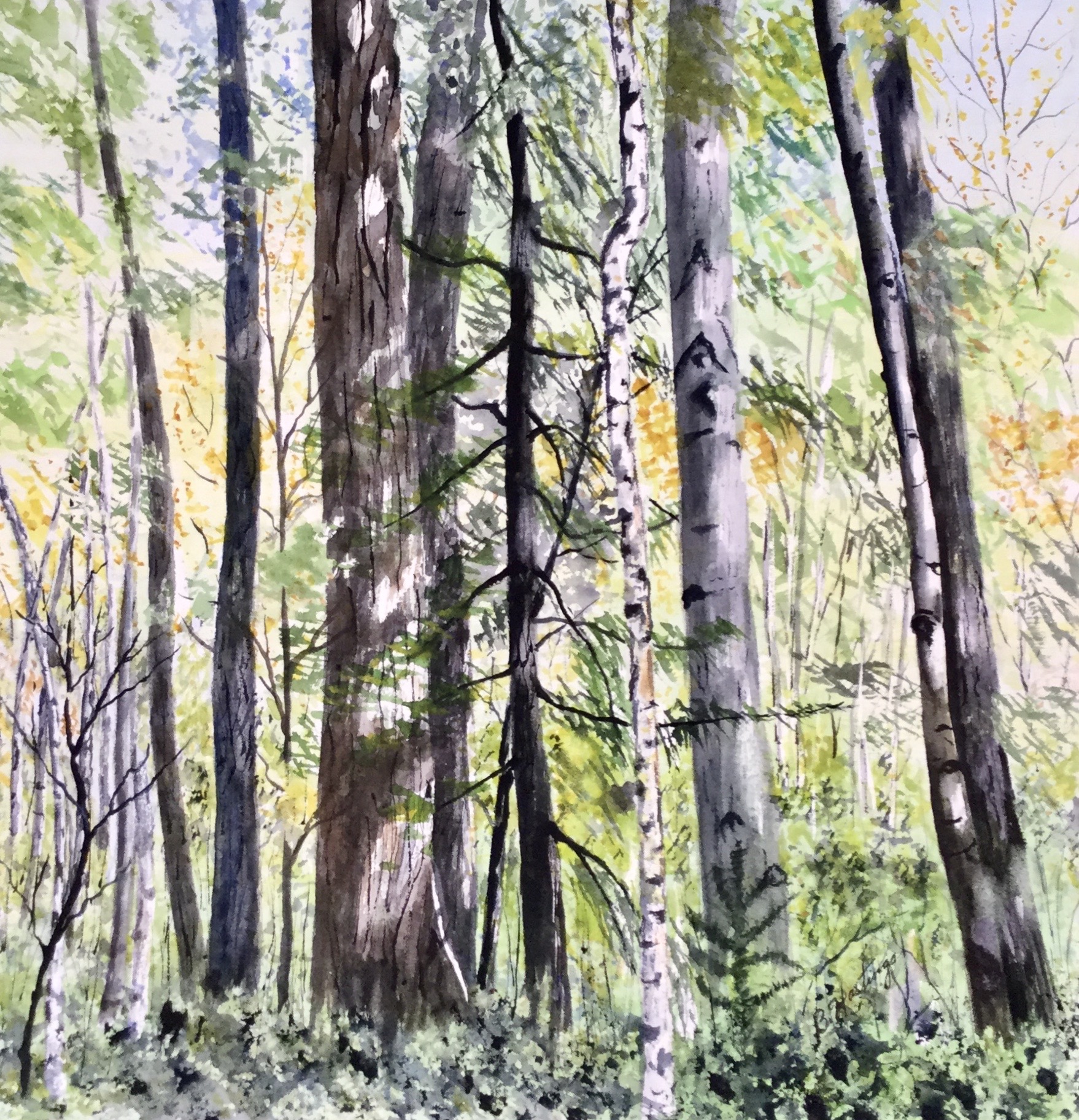 SO COOL HERE by Bonnie Hastings