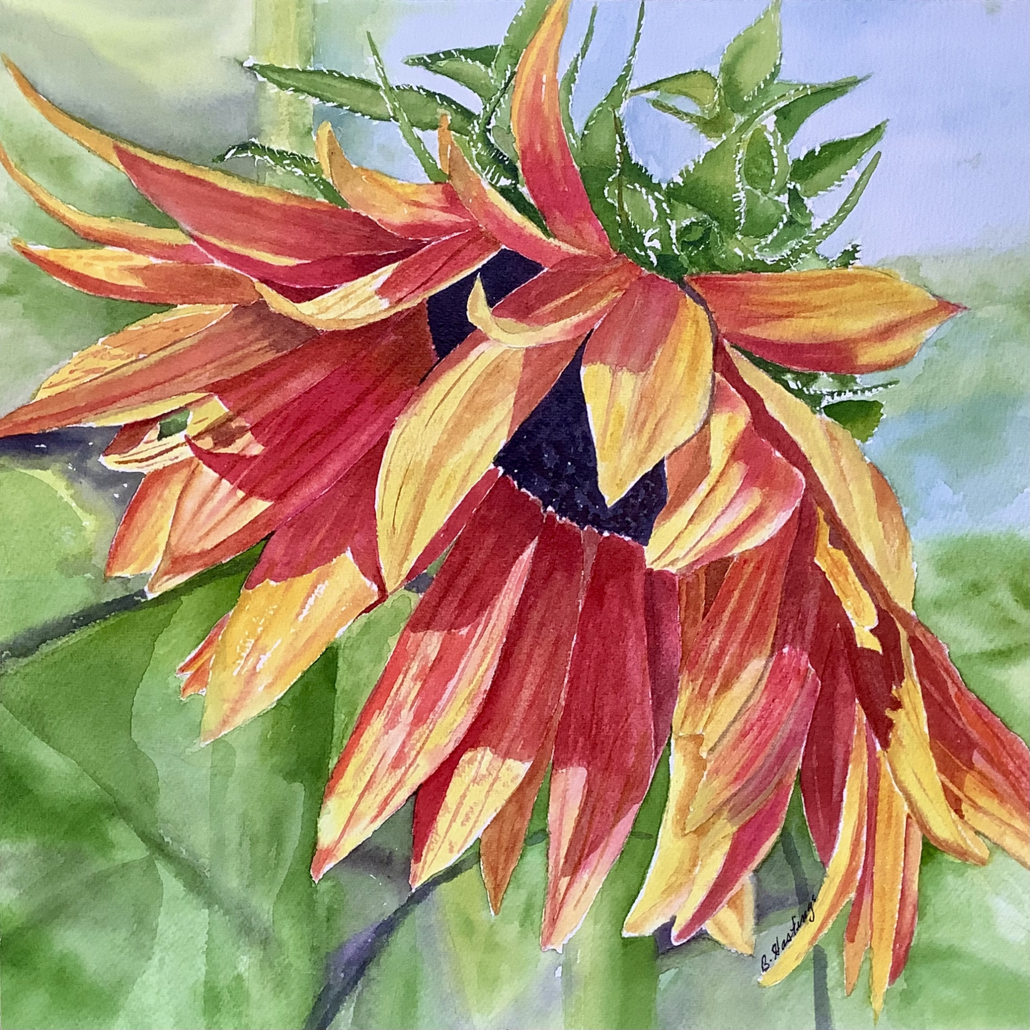 BASHFUL by Bonnie Hastings