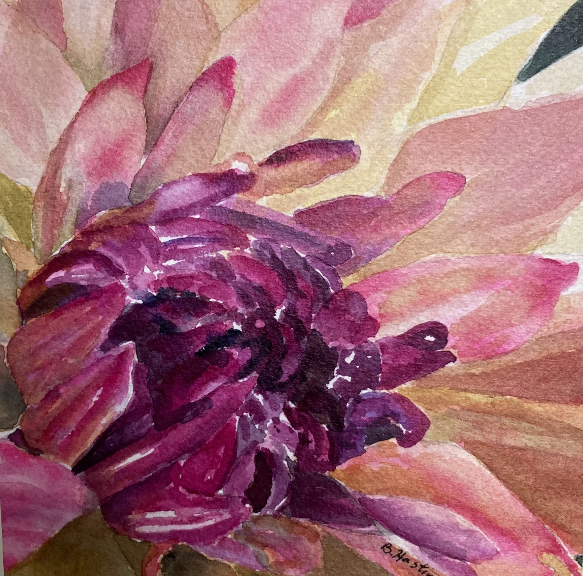 DAZZLING DAHLIA by Bonnie Hastings