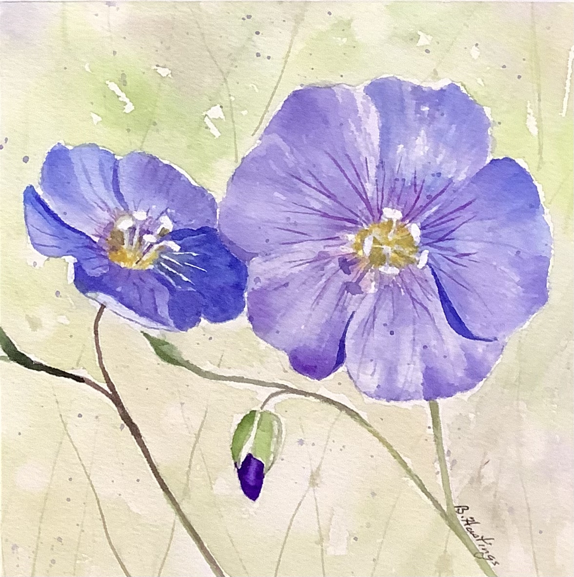 FLAX by Bonnie Hastings