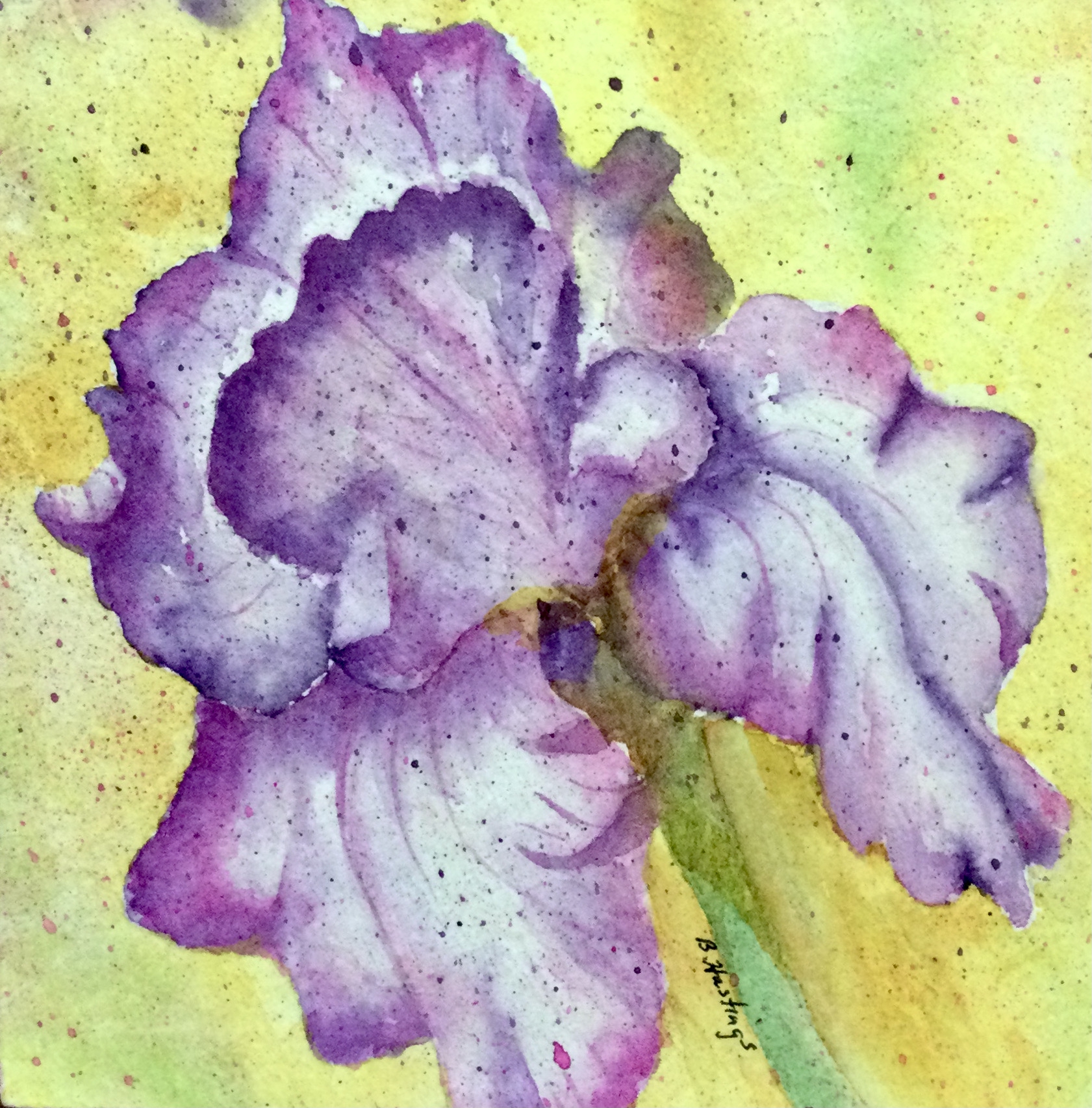 Click here to view Miniatures artwork by Bonnie Hastings