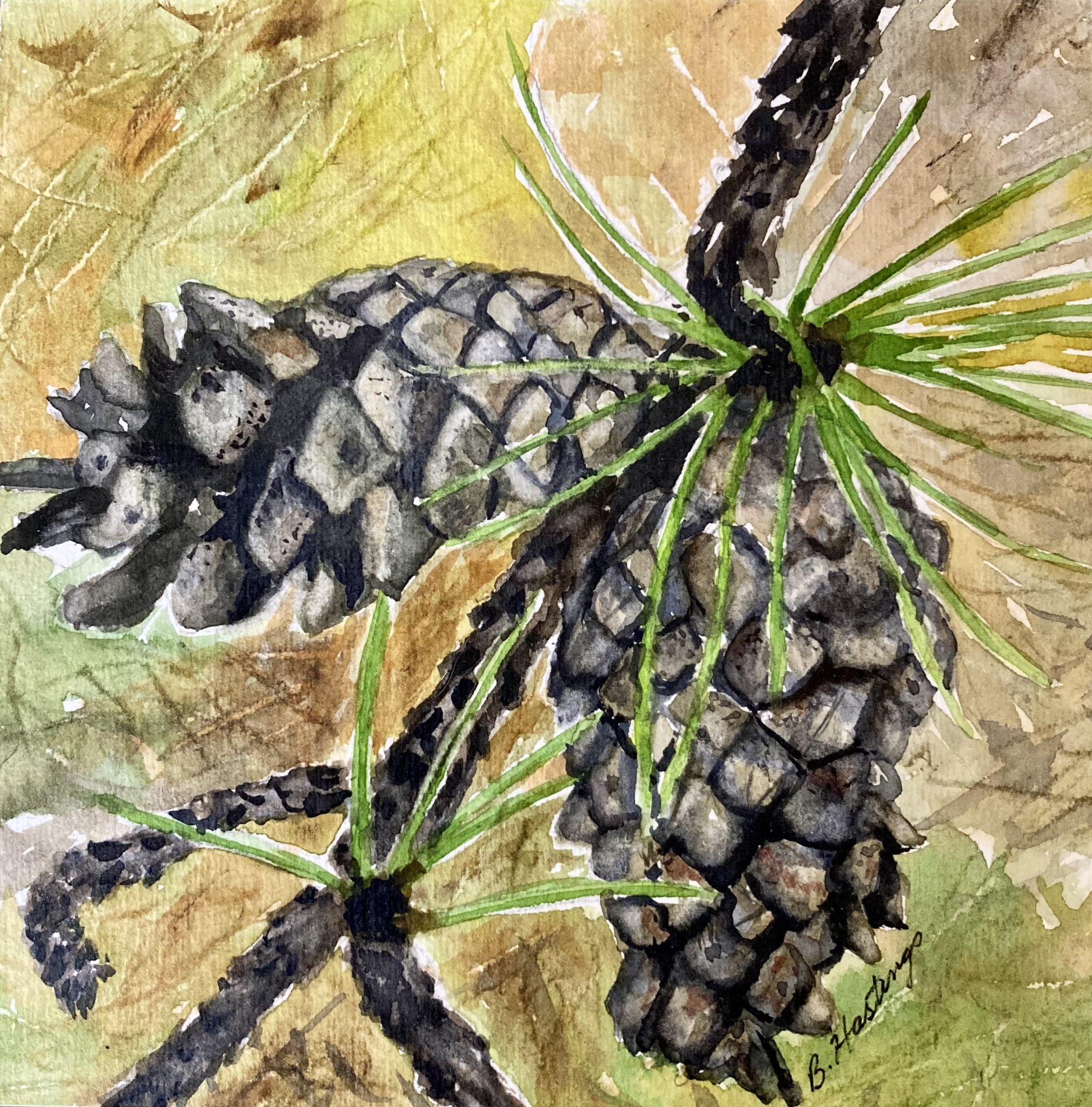 STROBILI by Bonnie Hastings