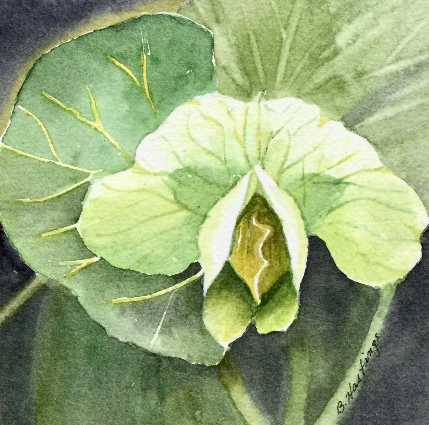 STUDY IN GREEN by Bonnie Hastings