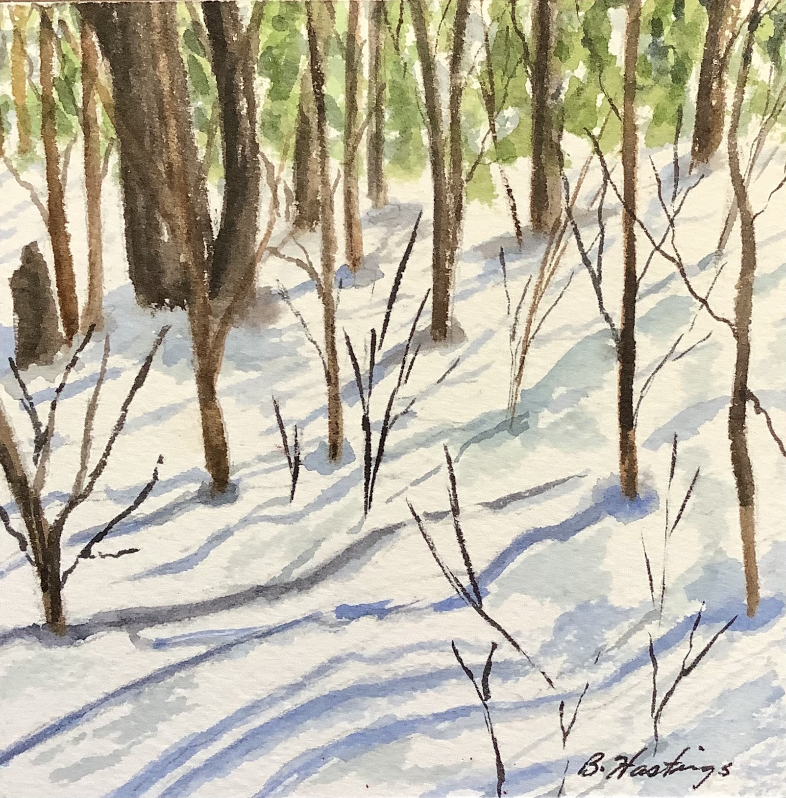 SHADOWS by Bonnie Hastings