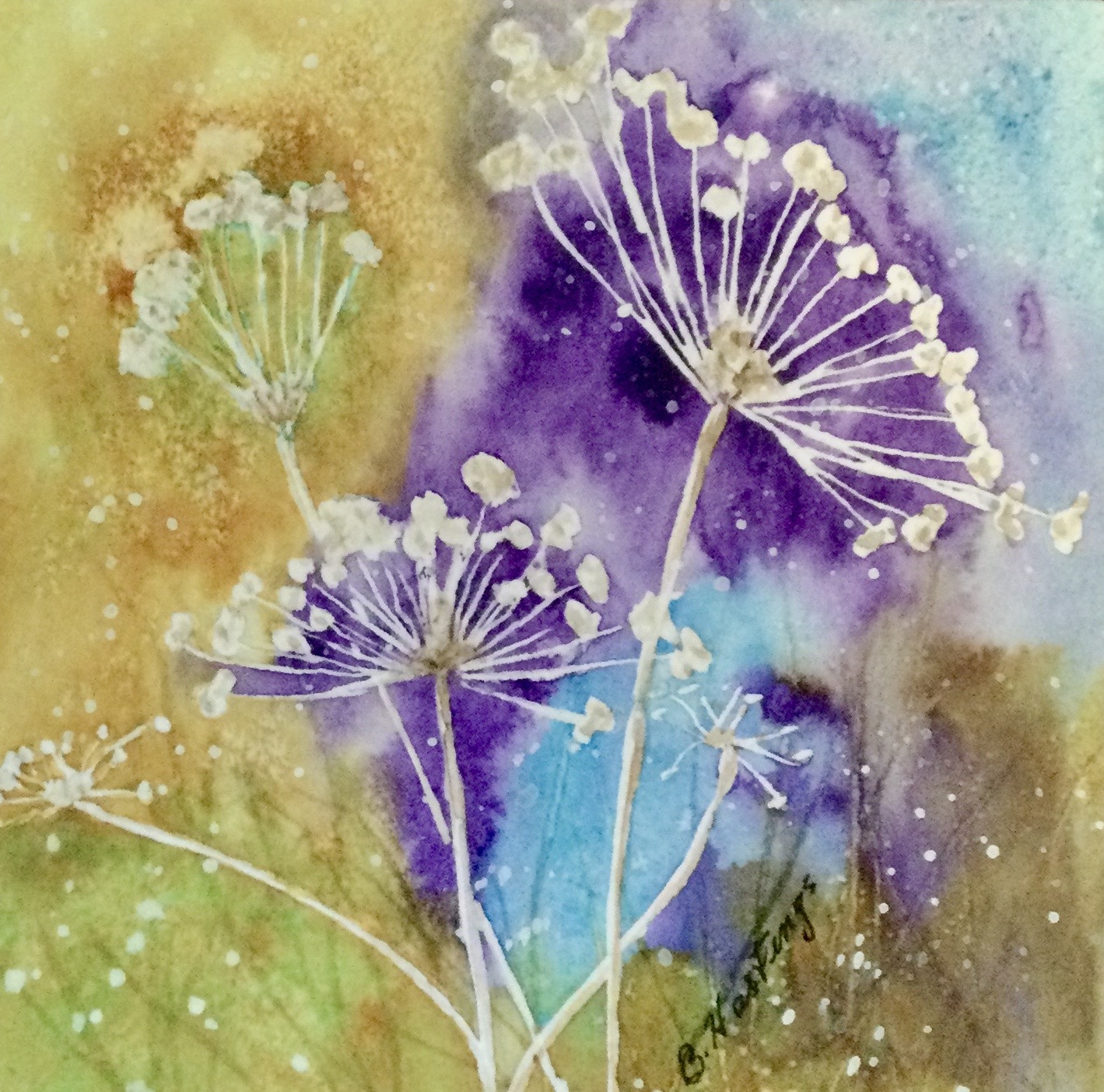QUEEN ANNE'S LACE by Bonnie Hastings