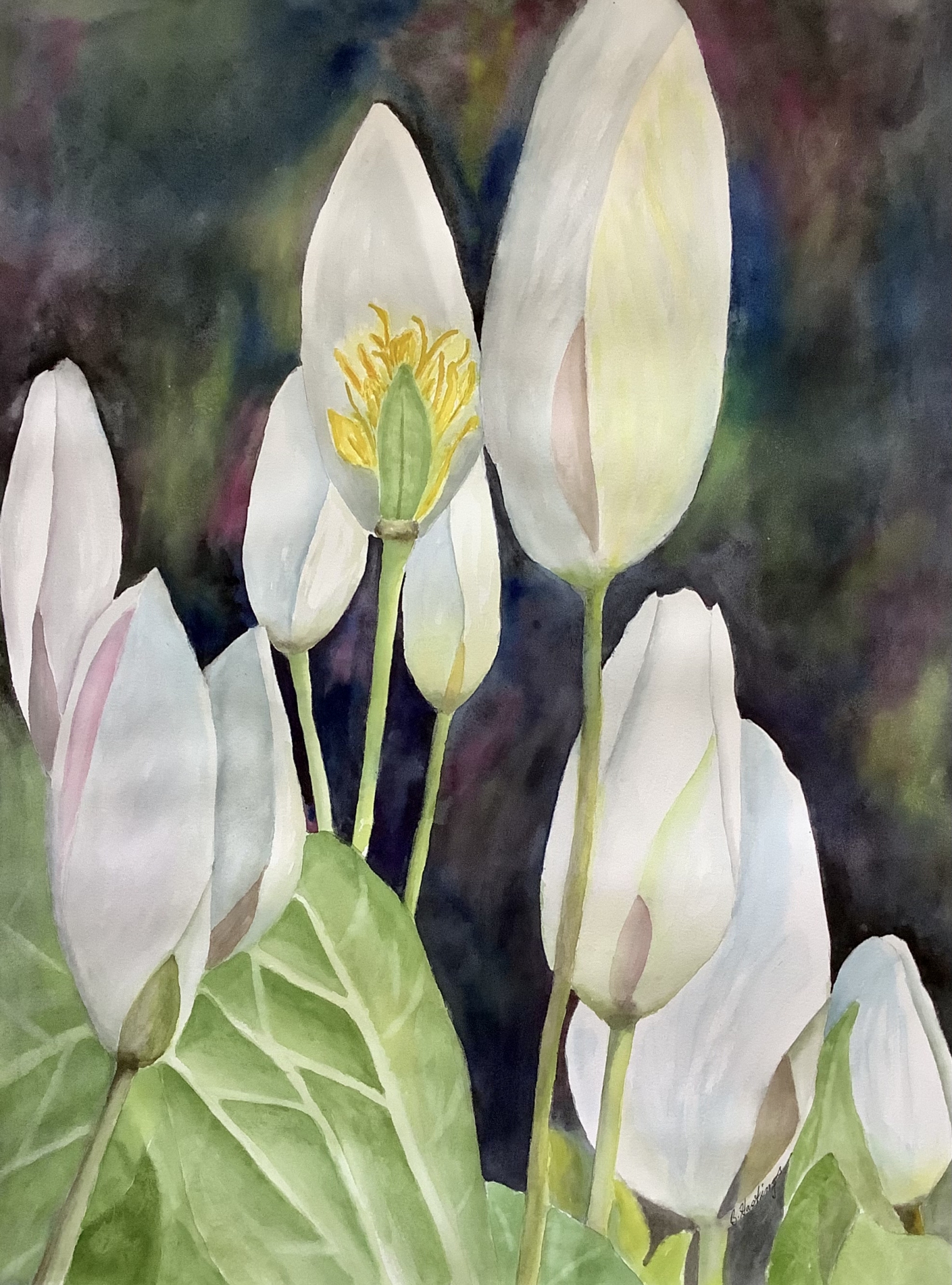 EXPOSED by Bonnie Hastings