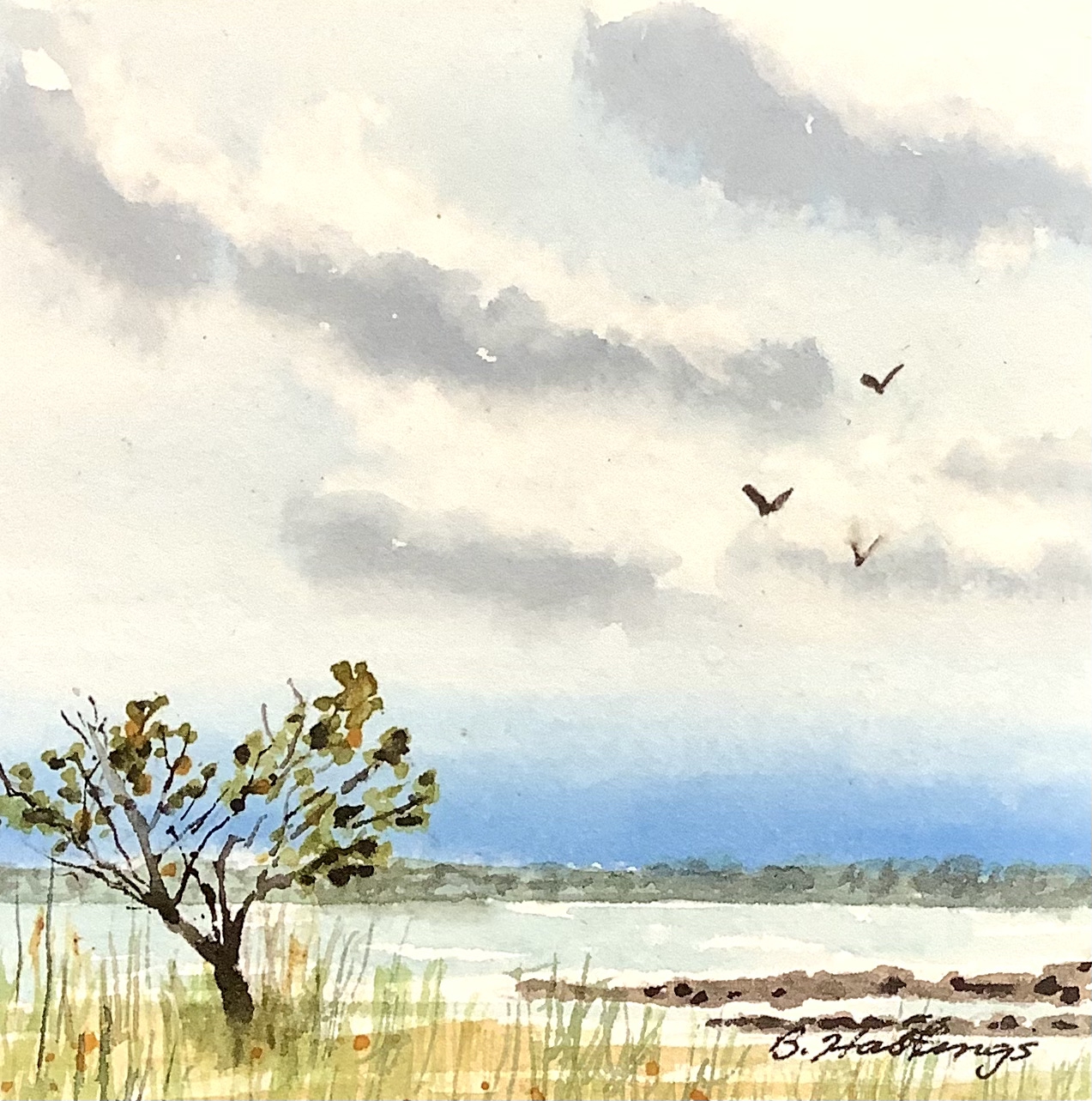 MacGregor Park by Bonnie Hastings
