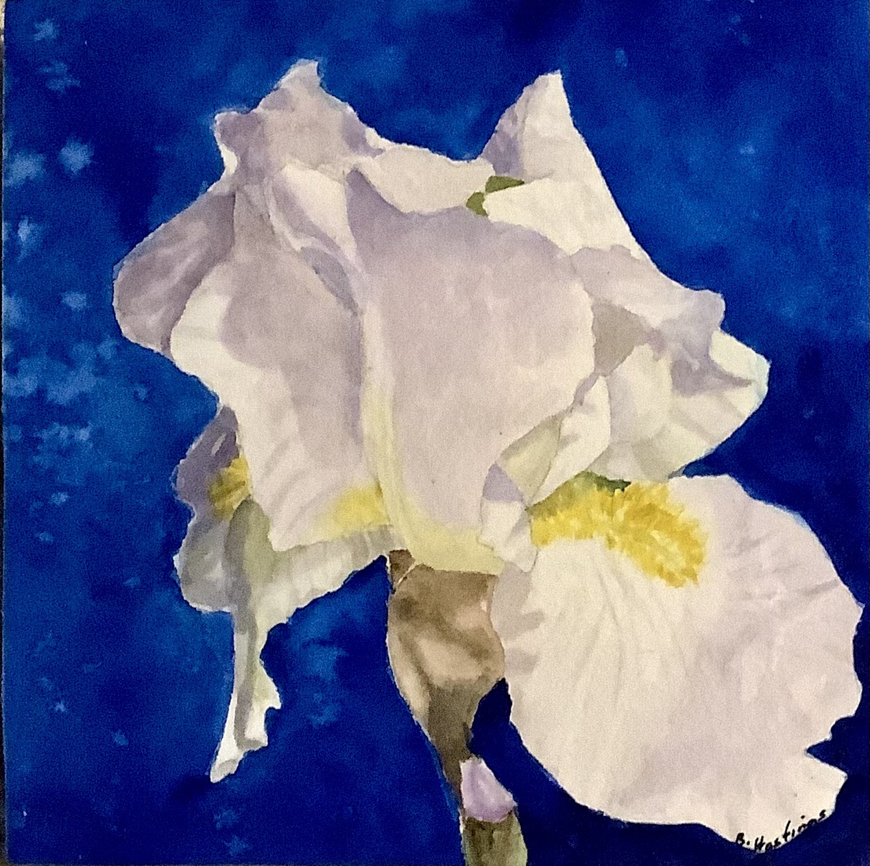 Shining Through the Blues by Bonnie Hastings