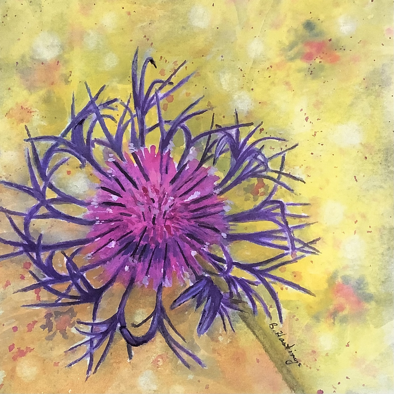 Mountain Cornflower by Bonnie Hastings
