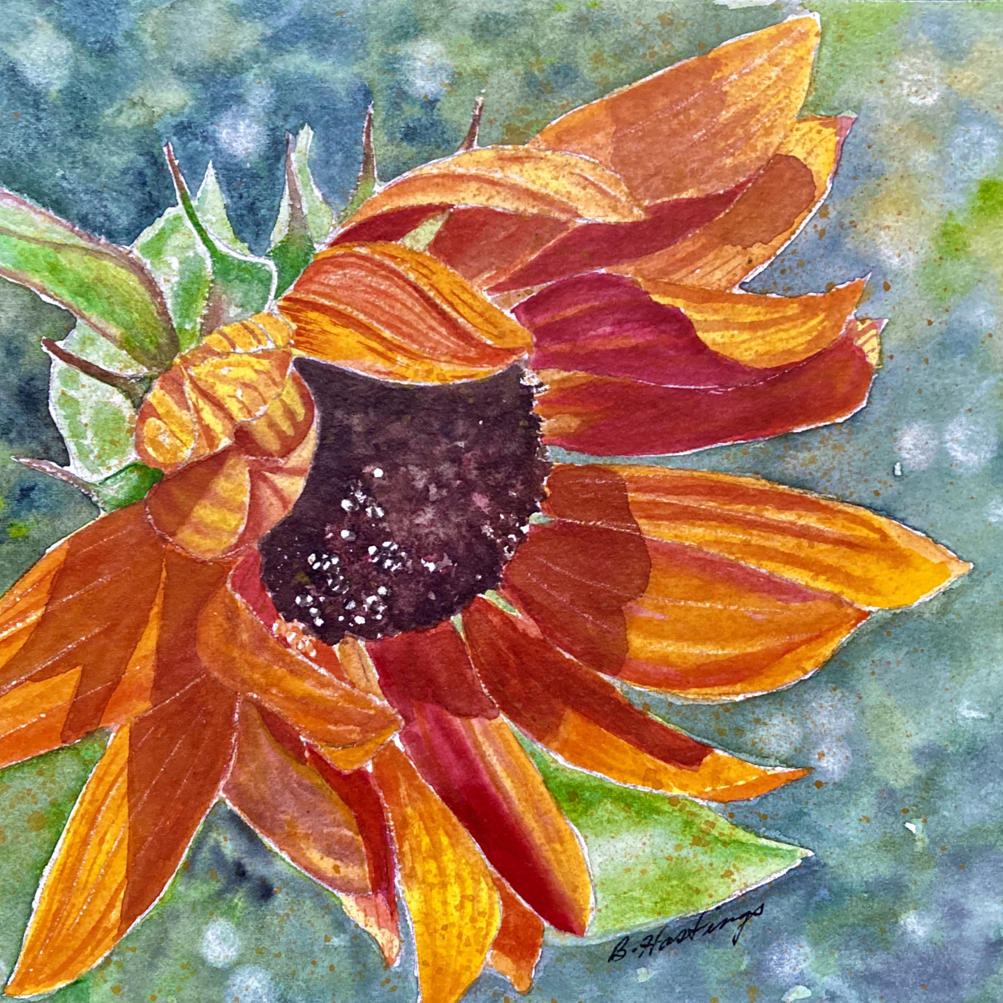 Helianthus by Bonnie Hastings