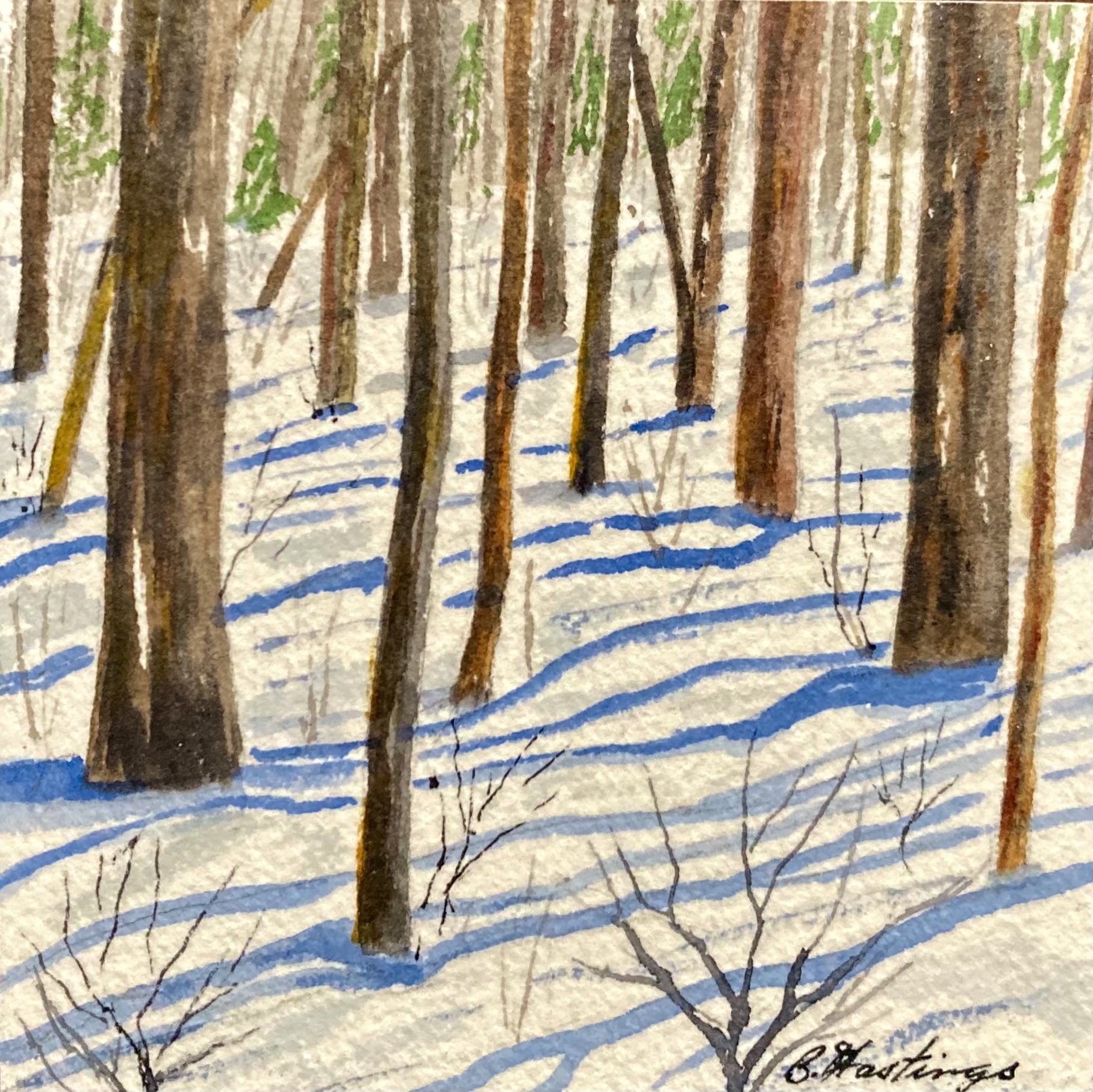 Winter Woods by Bonnie Hastings