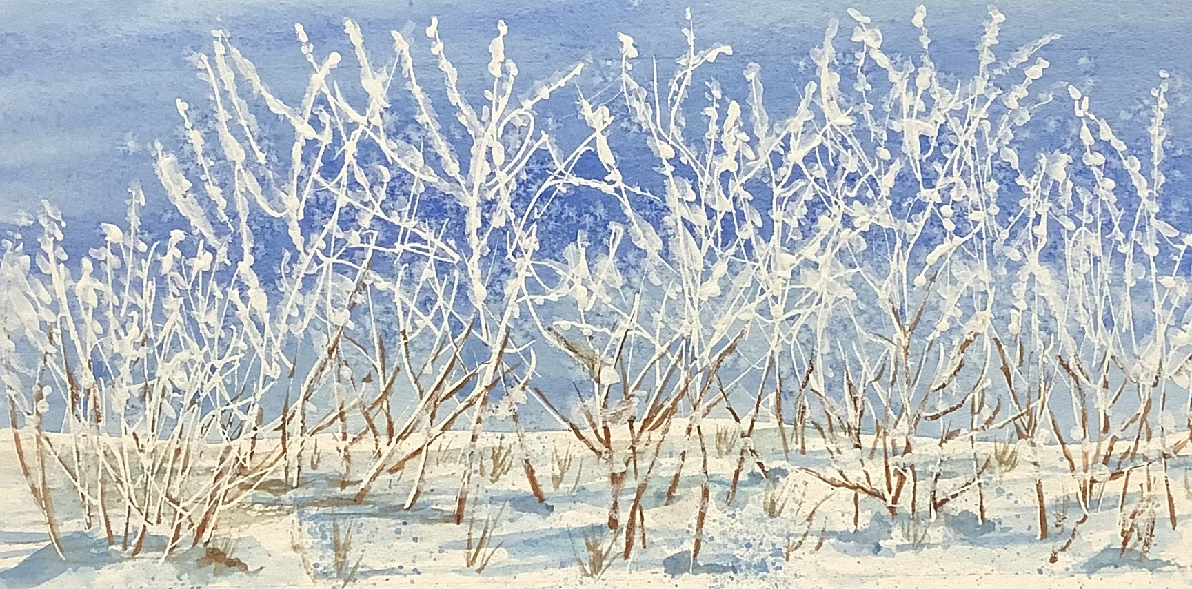 A Crown of Frost by Bonnie Hastings