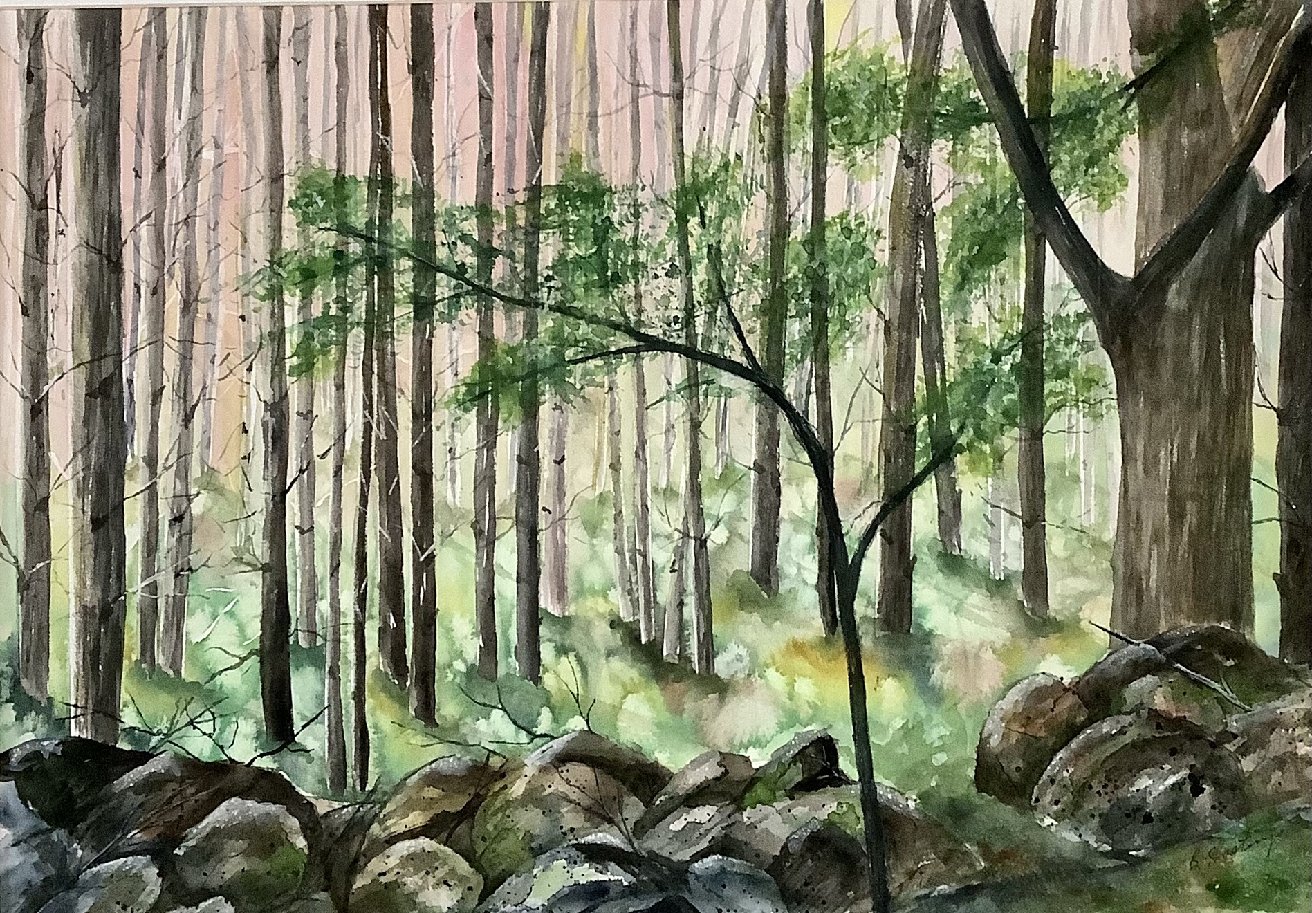Cedar Woods by Bonnie Hastings