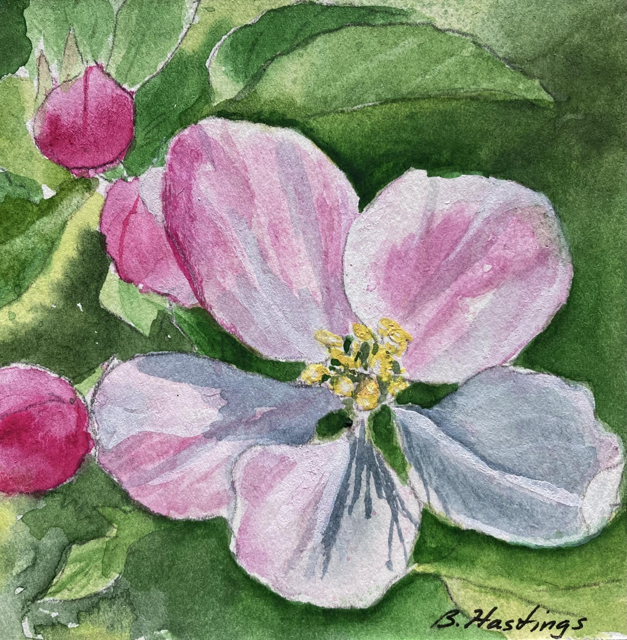 Spring by Bonnie Hastings