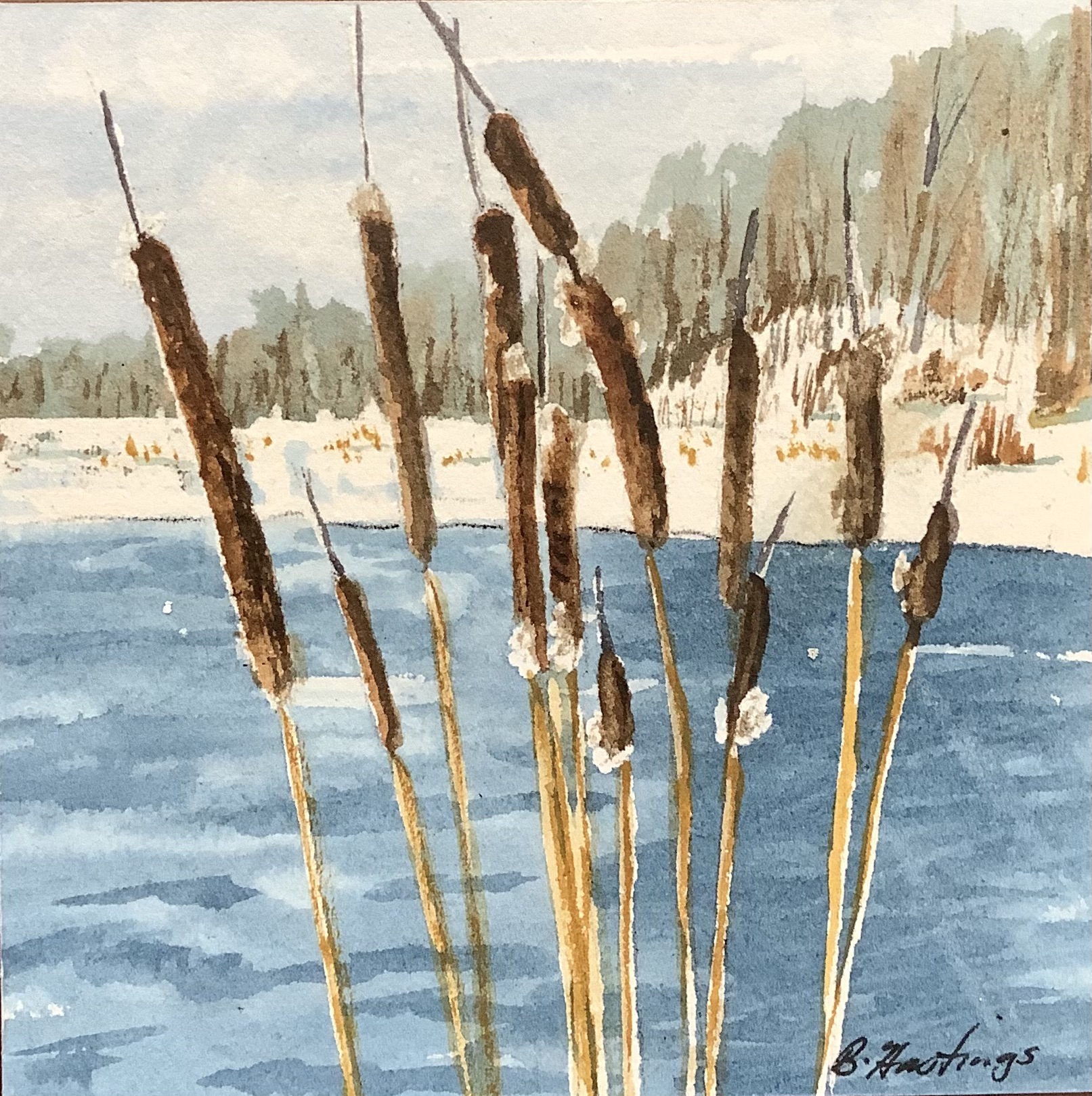 Cattails by Bonnie Hastings