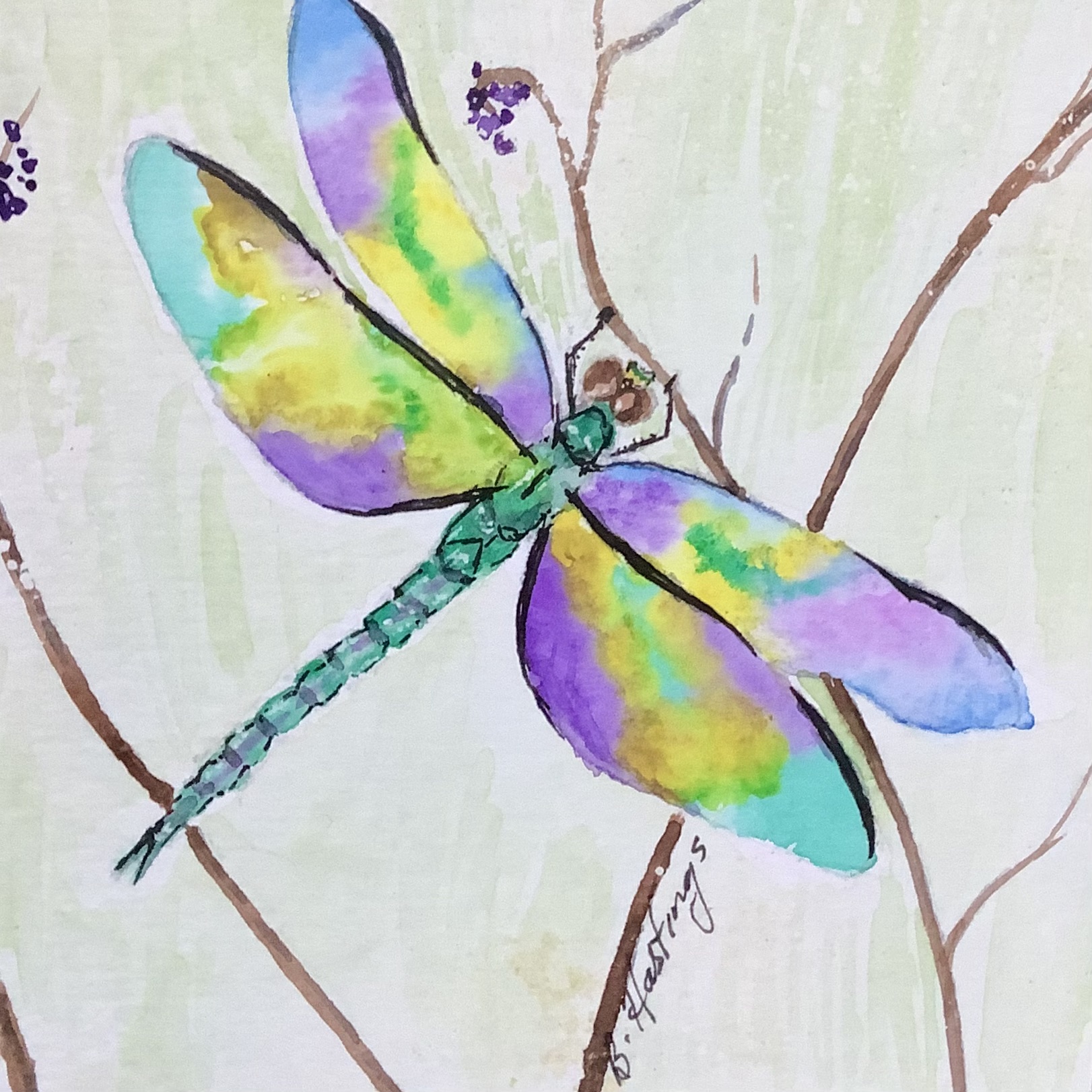 Dragonfly by Bonnie Hastings
