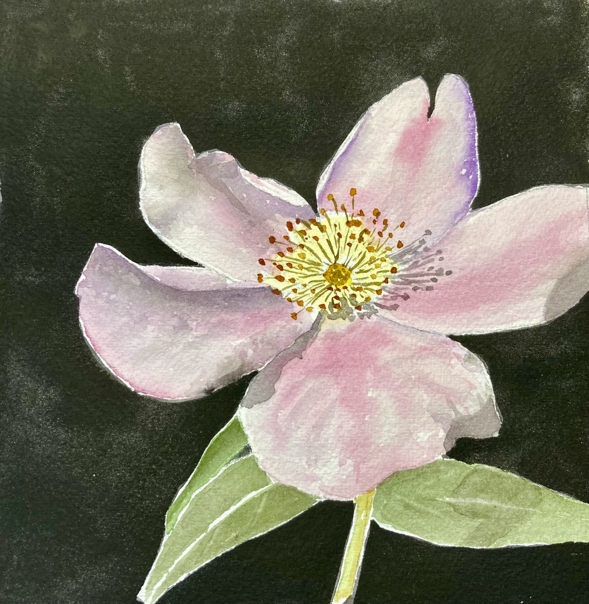 Prairie Rose by Bonnie Hastings