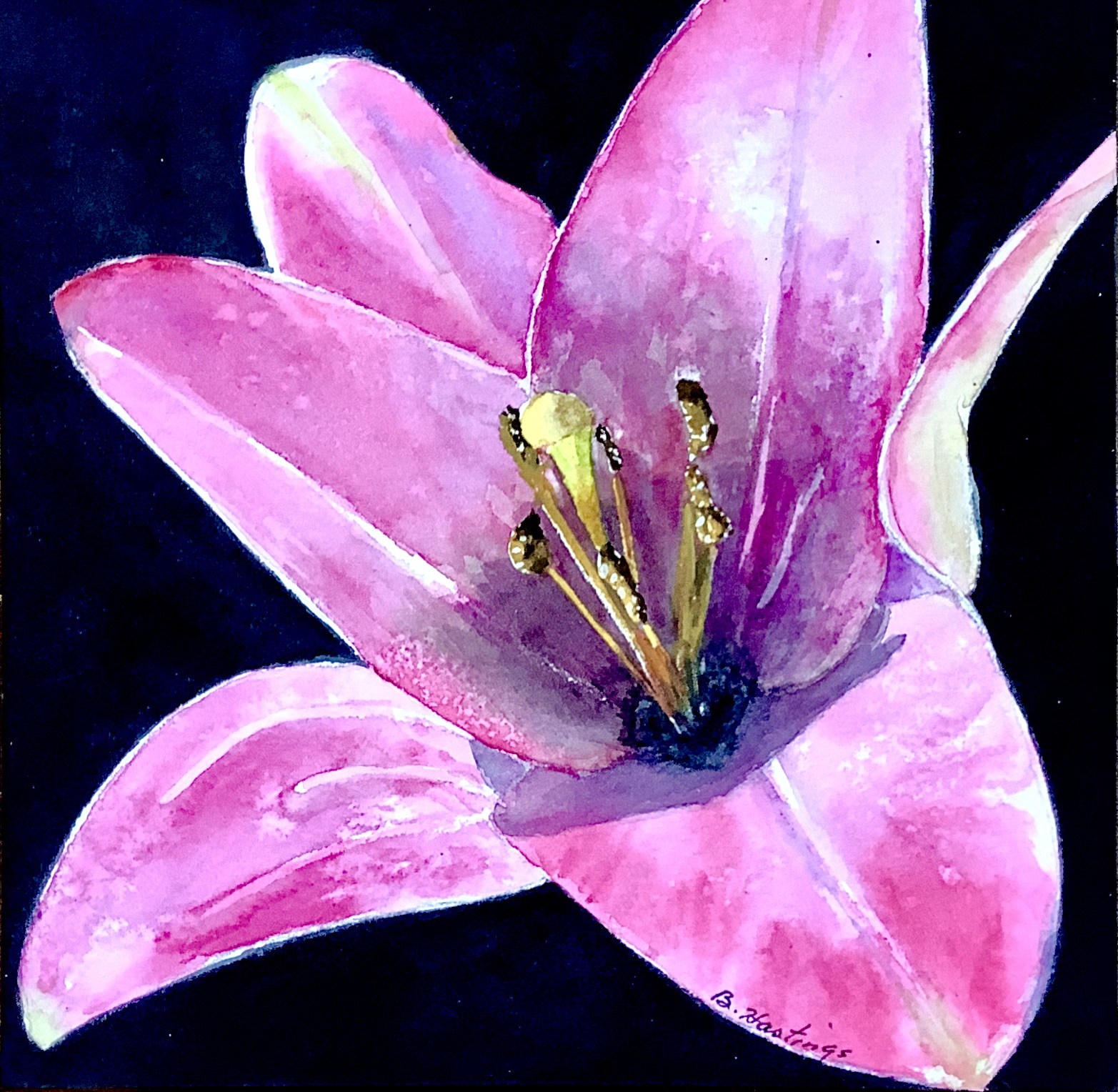 Lillium by Bonnie Hastings