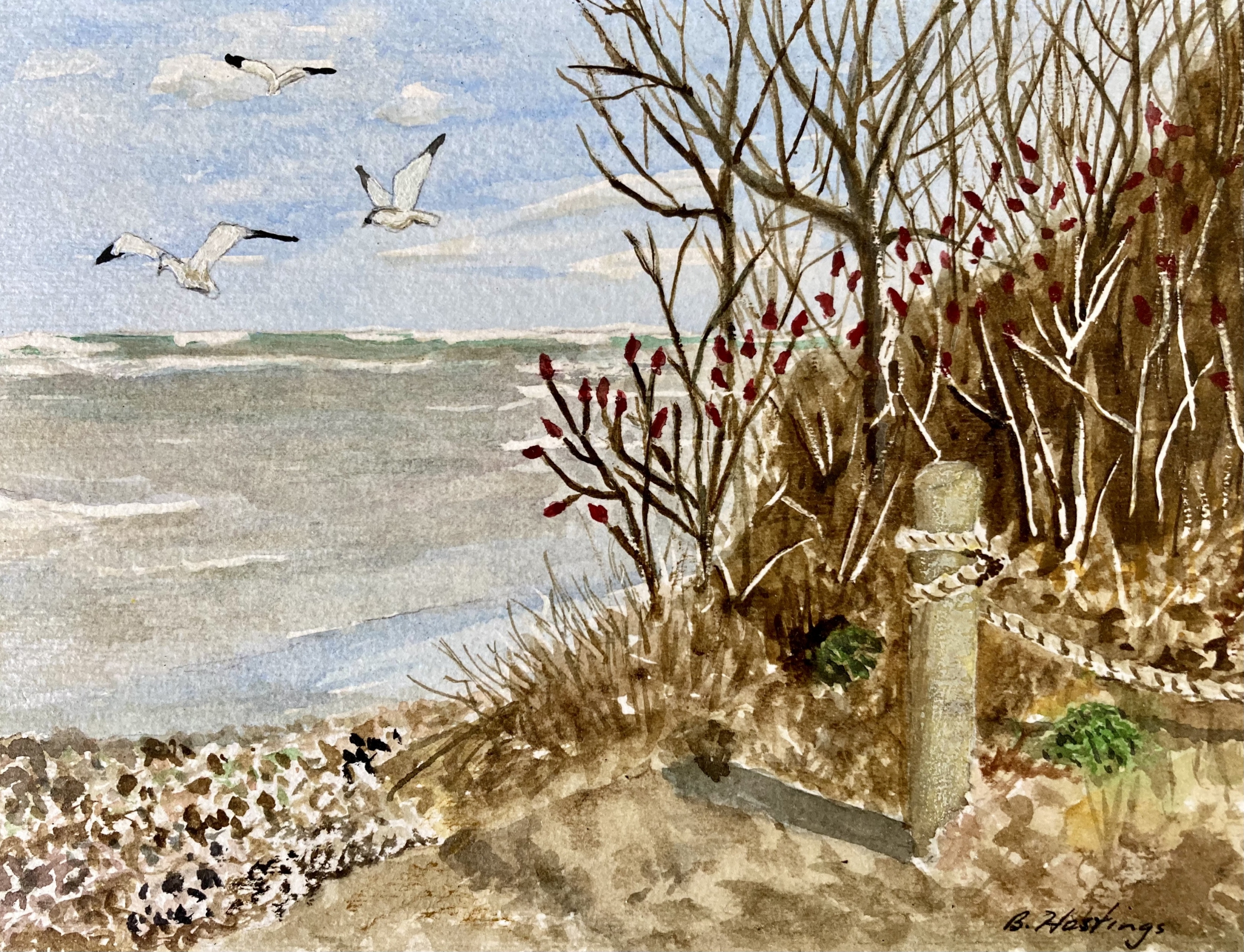 Seclusion by Bonnie Hastings
