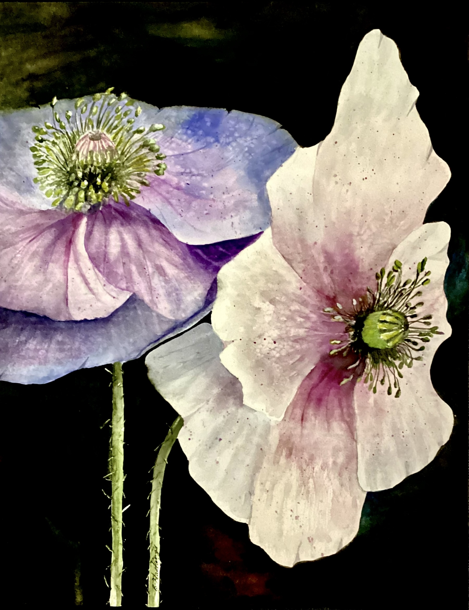 Peaceful Poppies by Bonnie Hastings