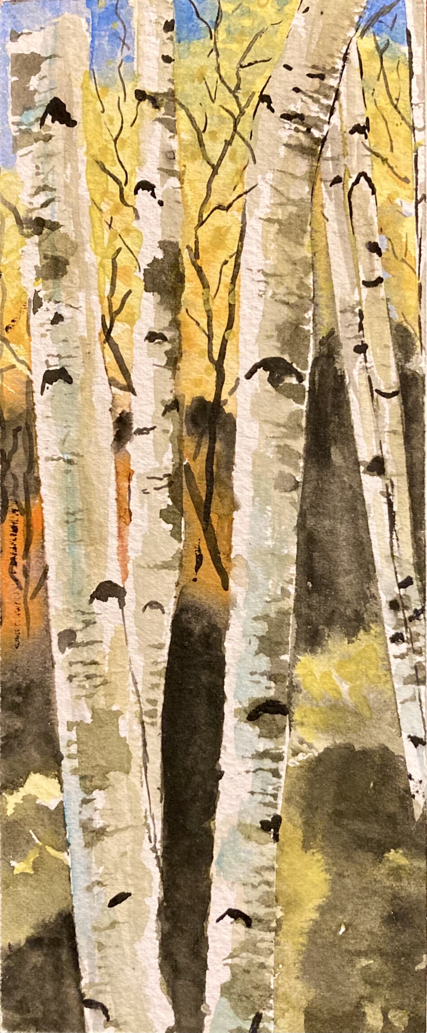 Canoe Trees by Bonnie Hastings