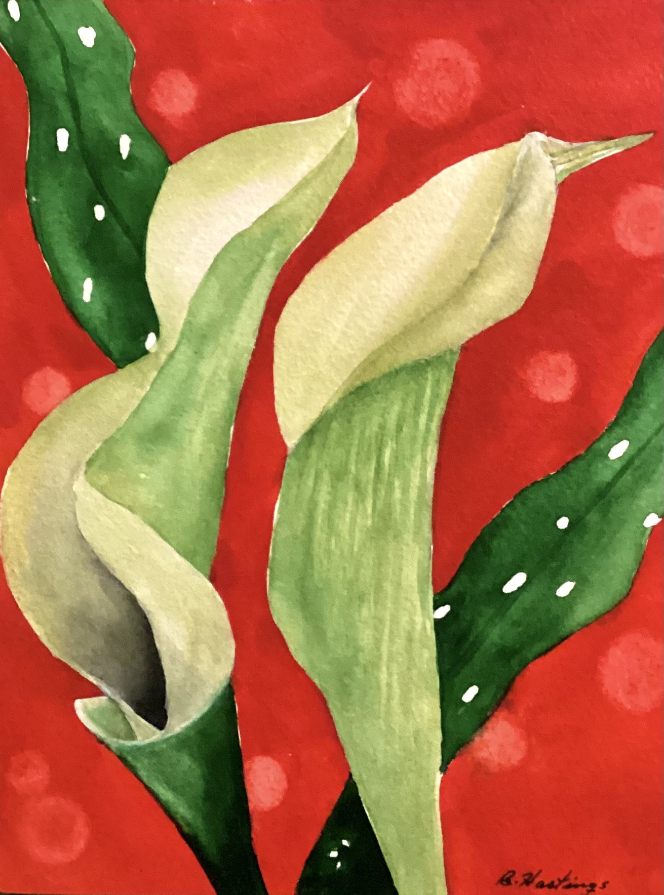 Calescent Callas by Bonnie Hastings