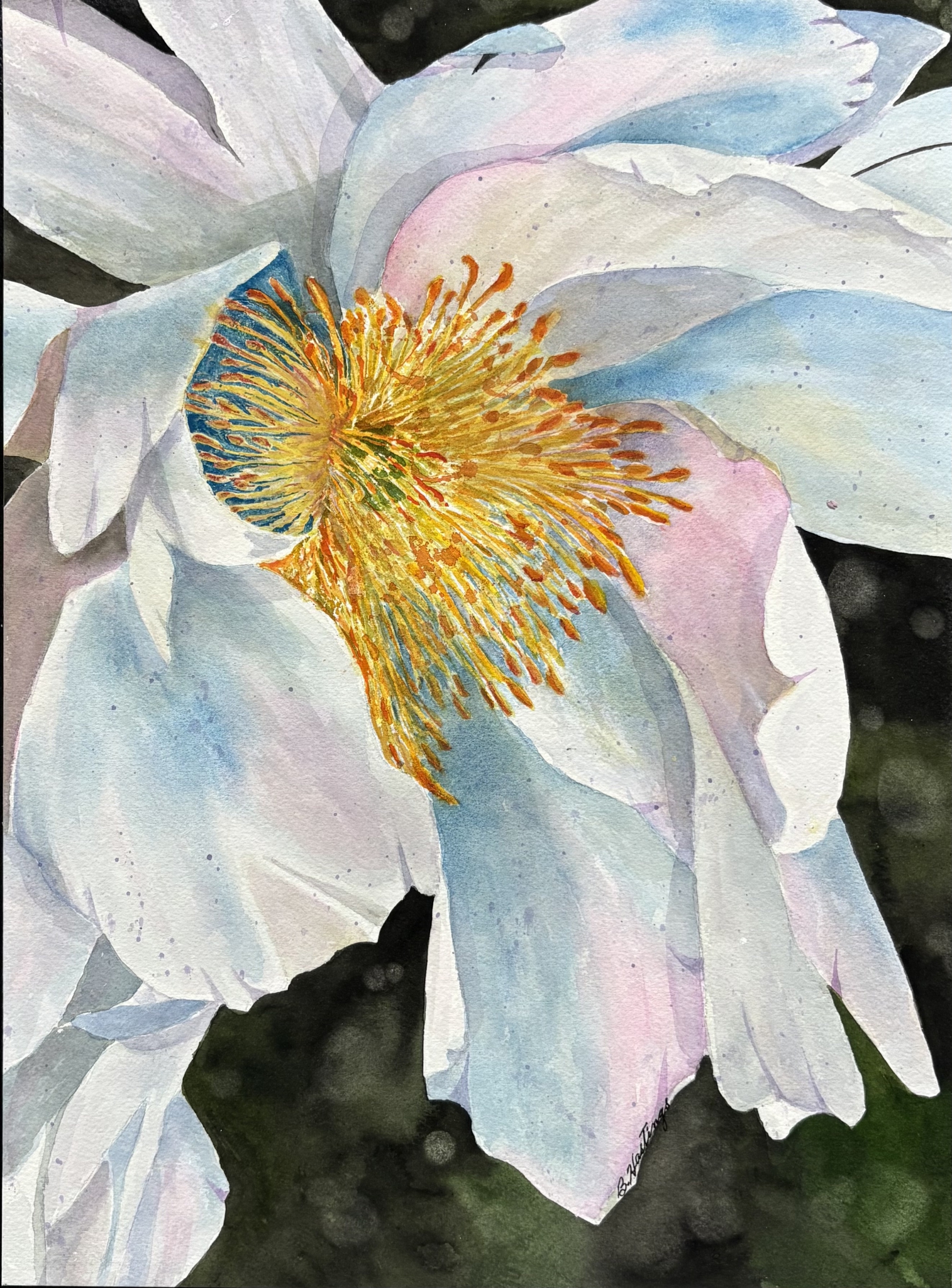Pastel Peony by Bonnie Hastings
