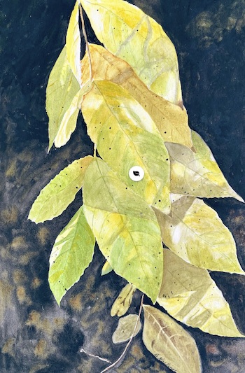 Autumn Glow by Bonnie Hastings