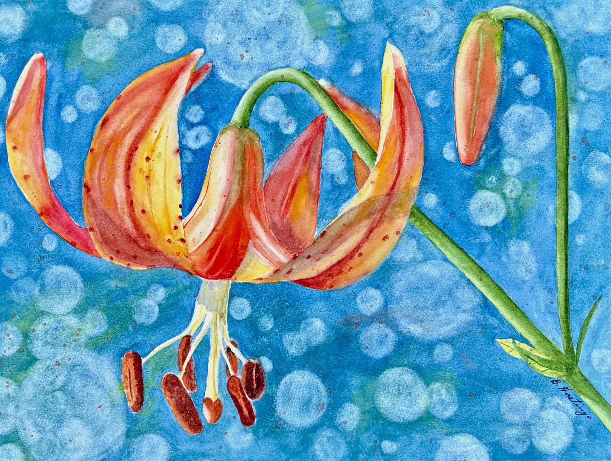 Shining by Bonnie Hastings